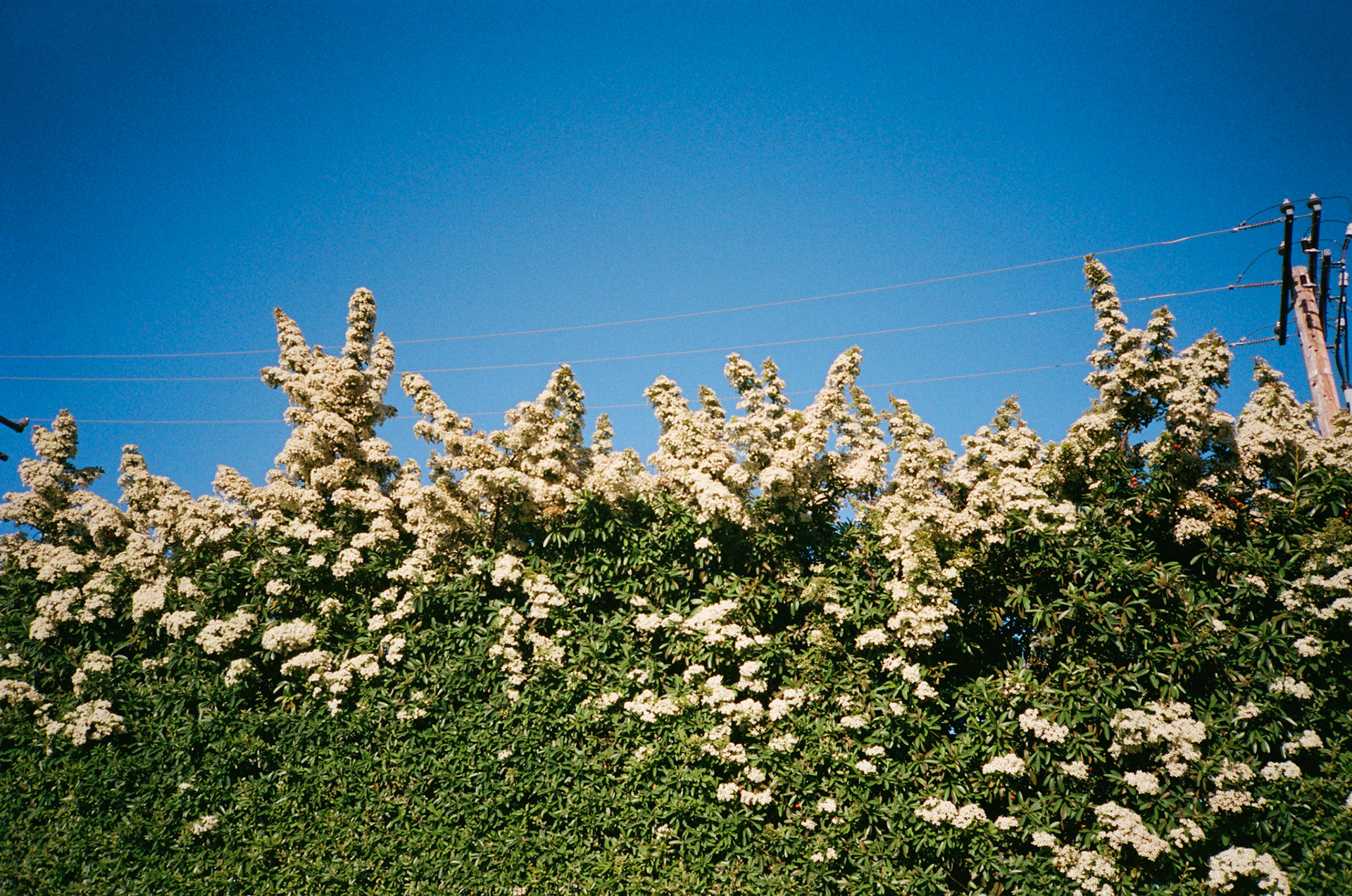 i guess we just go get 'em - Image 81