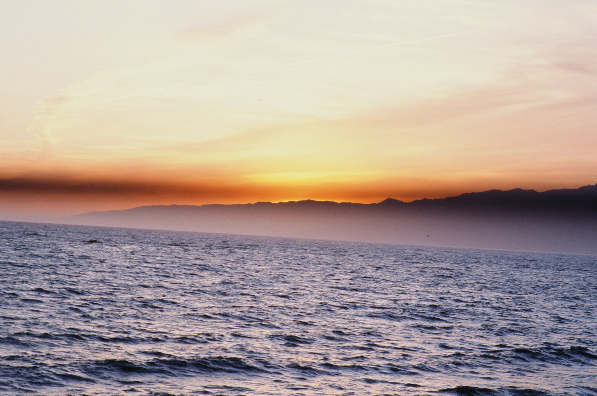 i guess we just go get 'em - Image 35