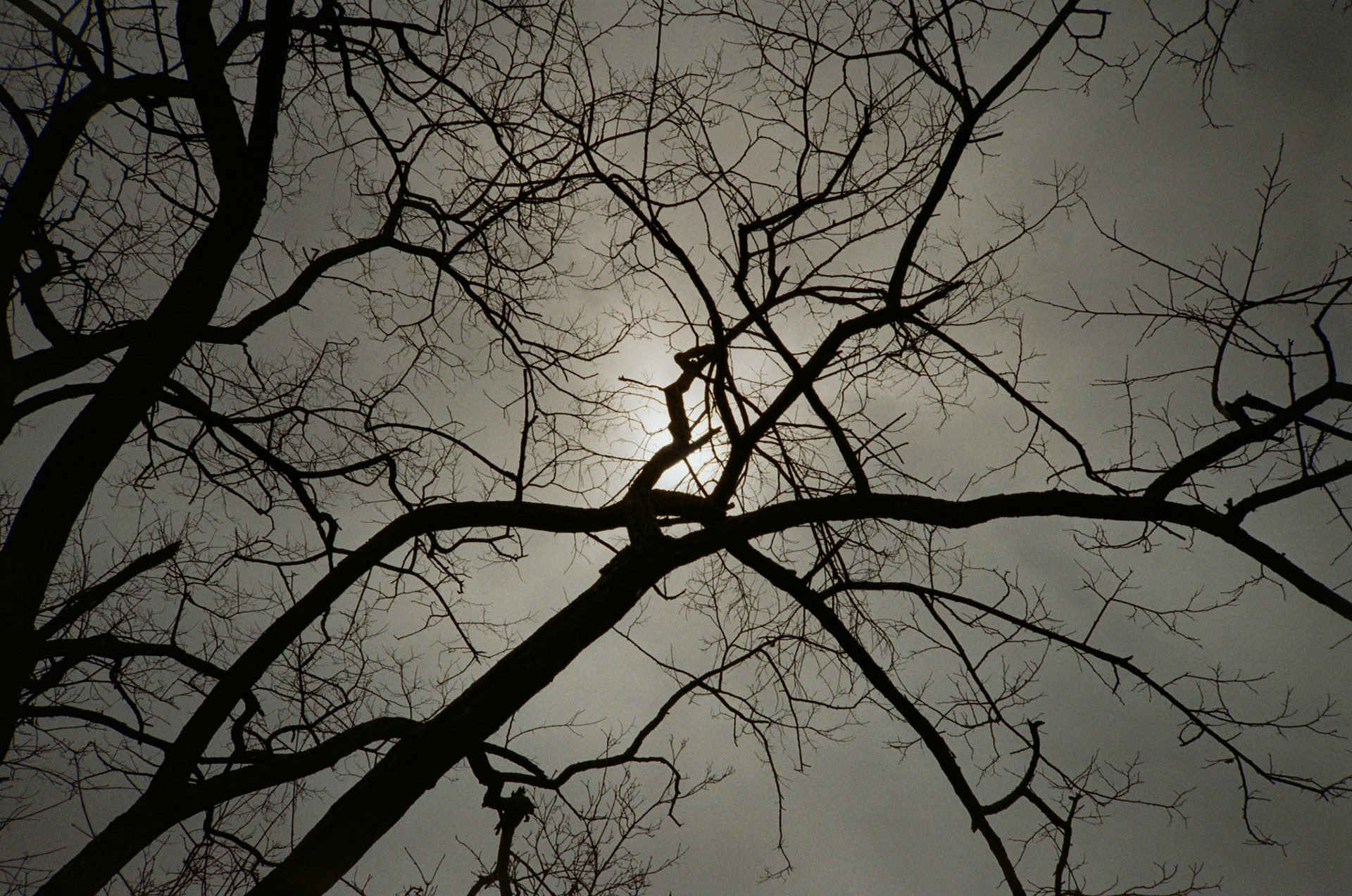 for me, don't change - Image 14