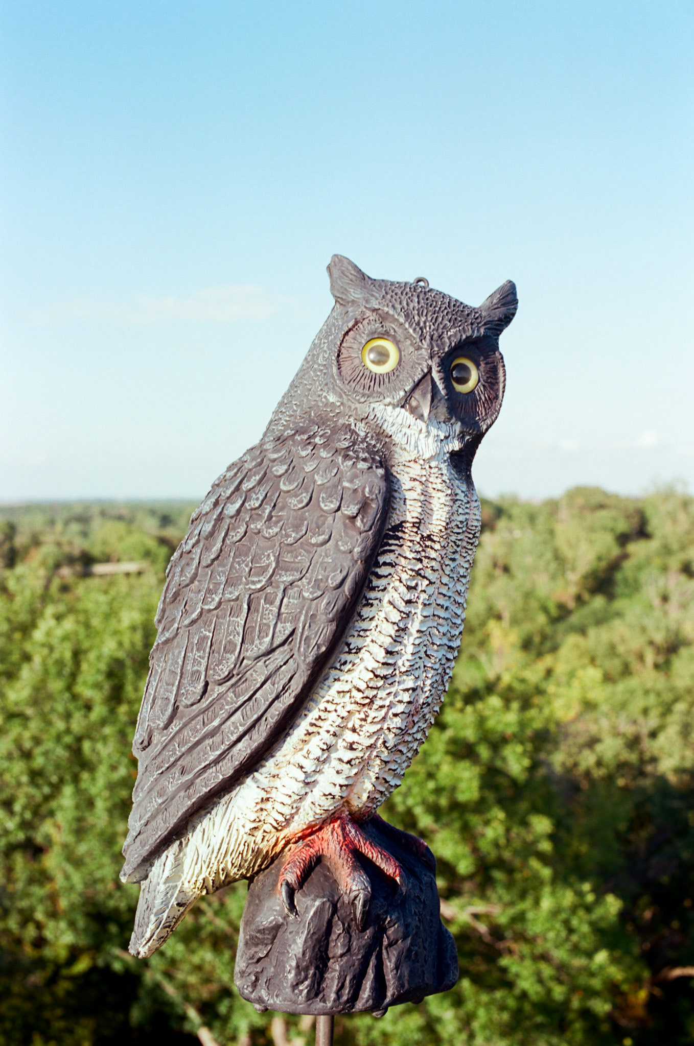 when the money goes, will the honey stay? - Image 101