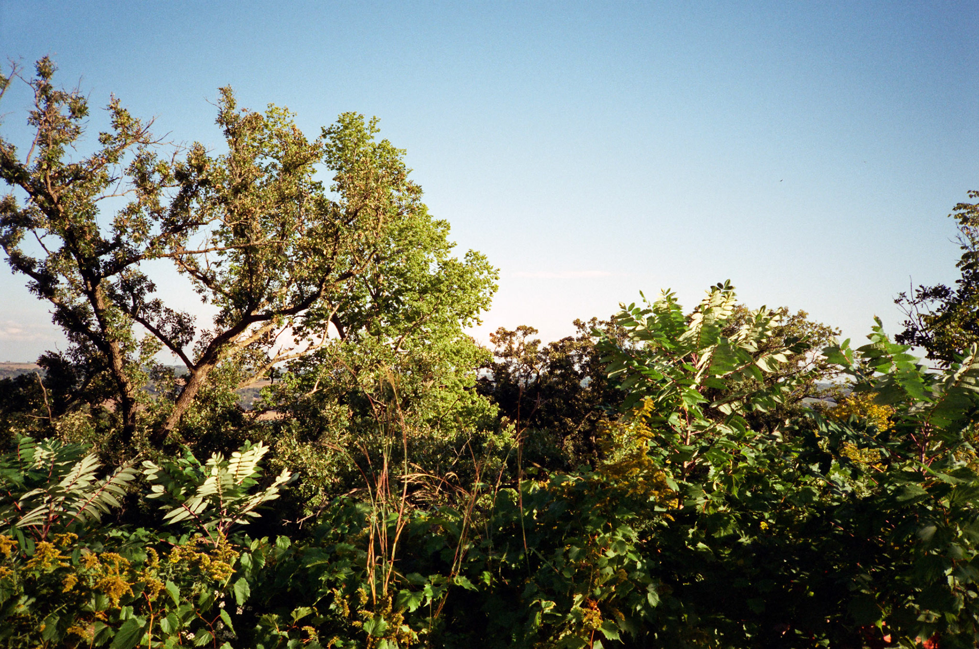 when the money goes, will the honey stay? - Image 45