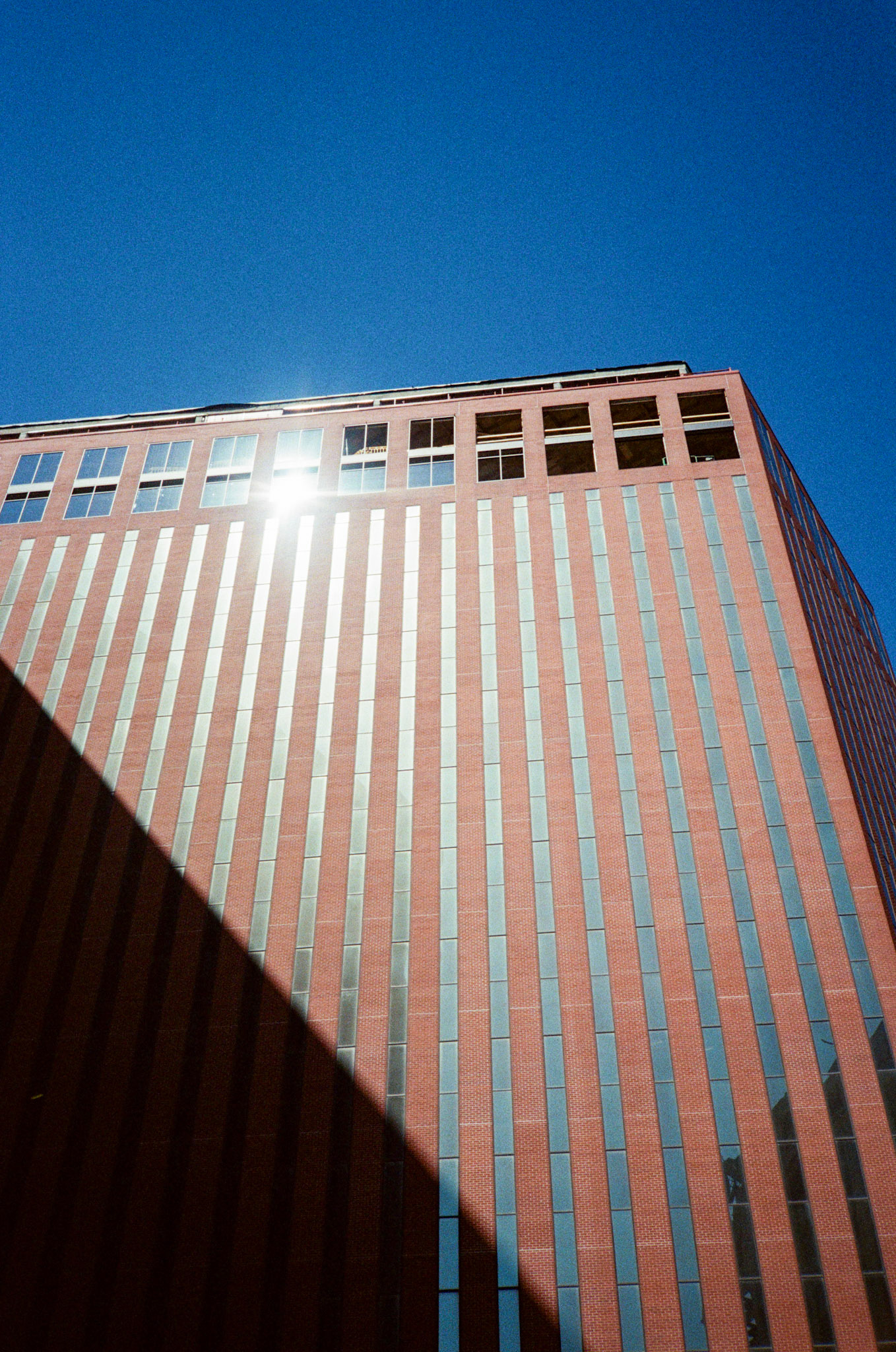 they'll never take the joy from us - Image 62