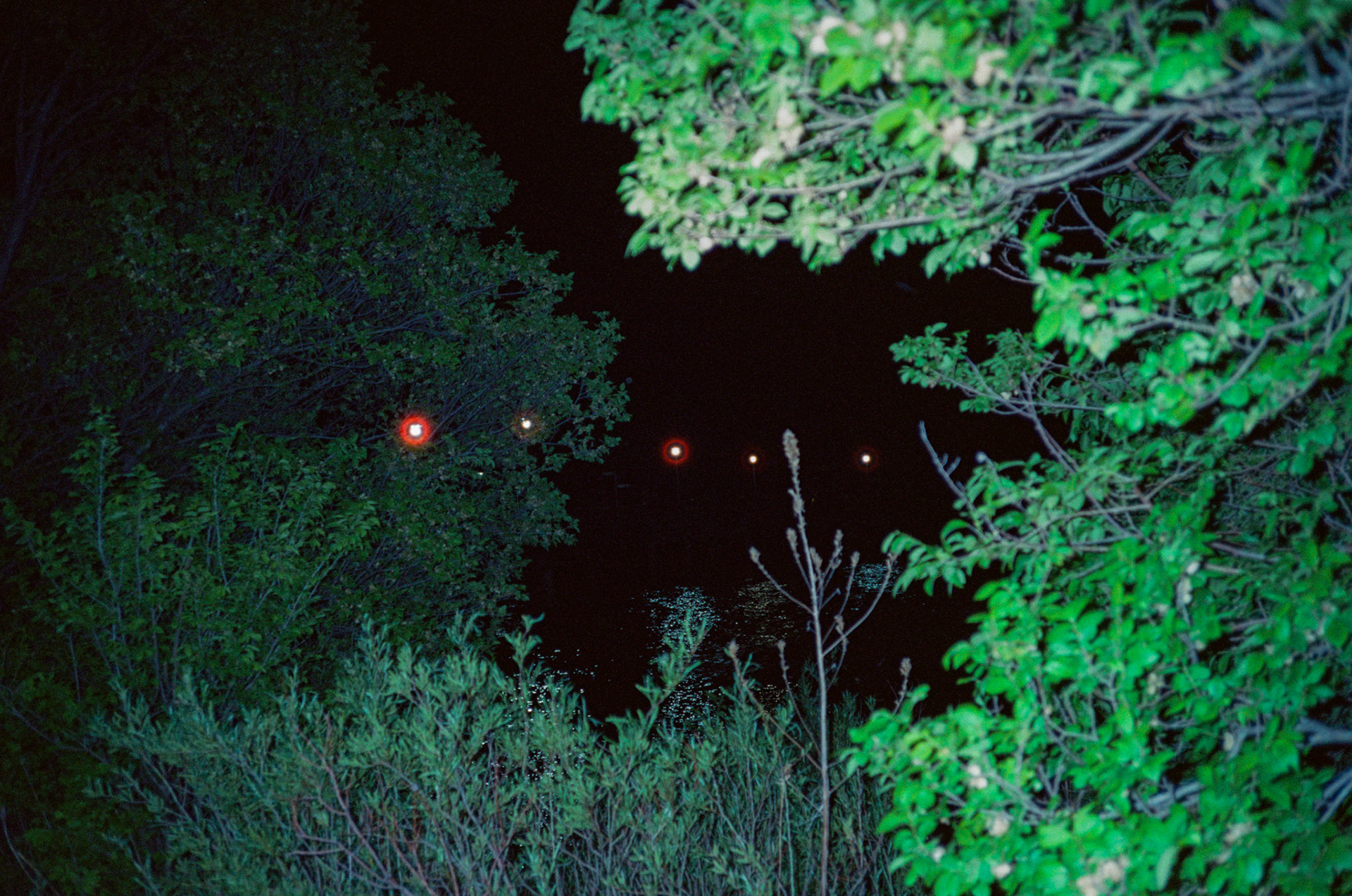 walk out the door - Image 75