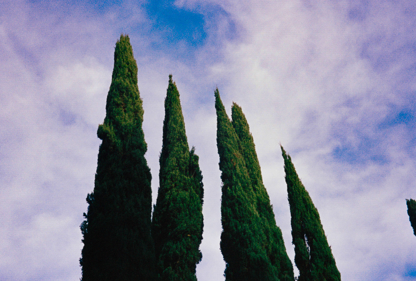 take me all the way - Image 6