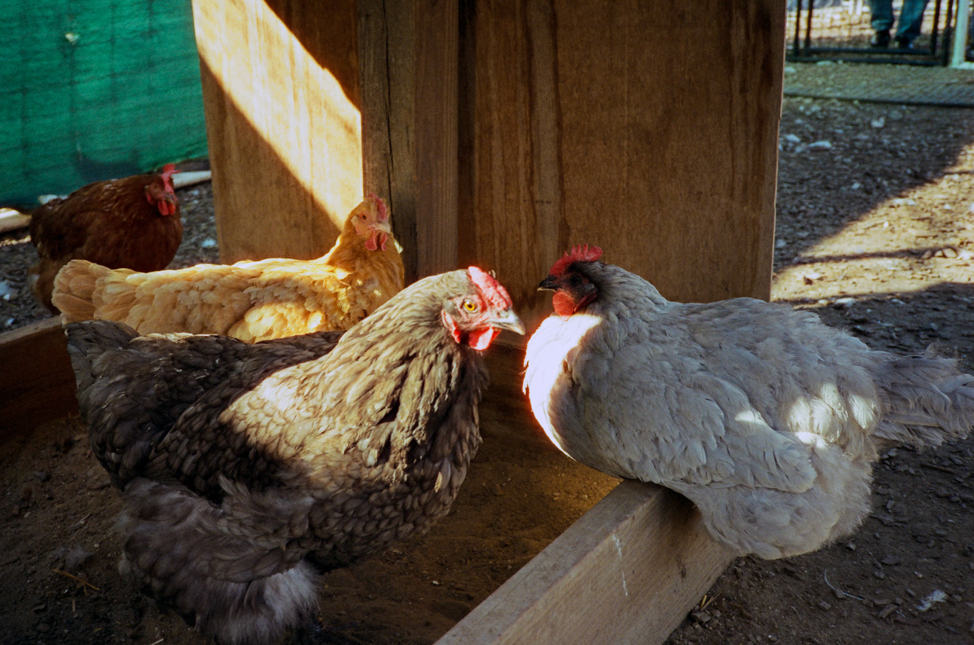 when the money goes, will the honey stay? - Image 66