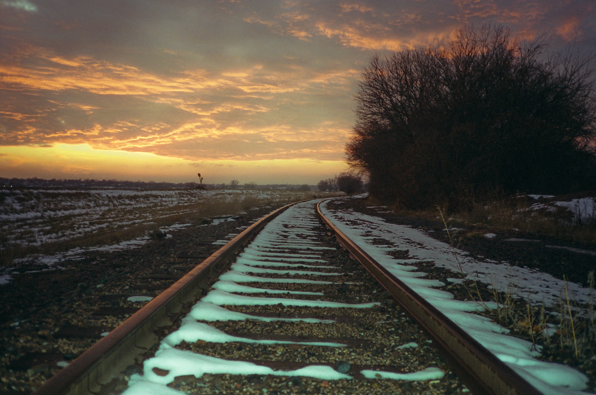 when the money goes, will the honey stay? - Image 31