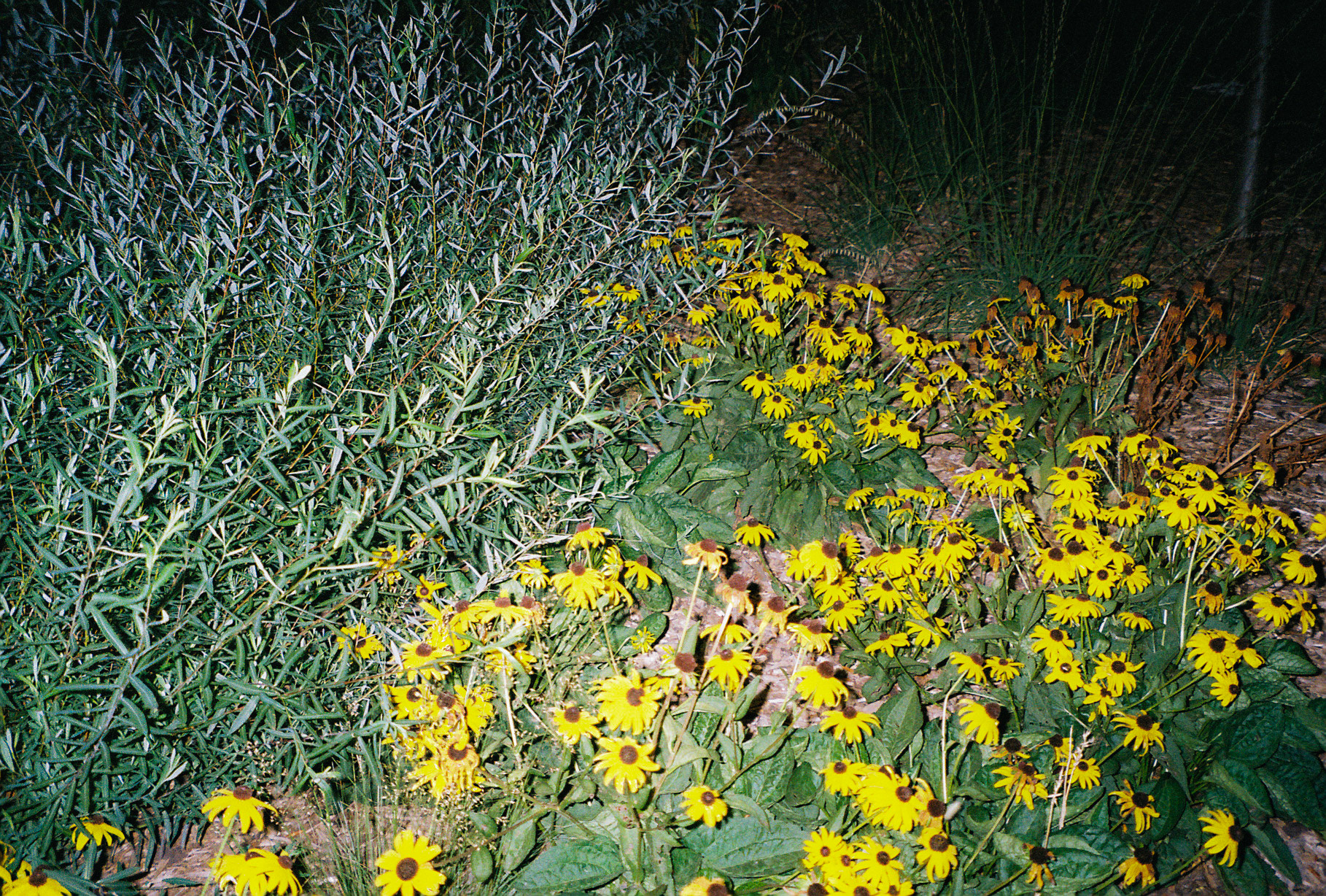 hands in the air if you made it - Image 5