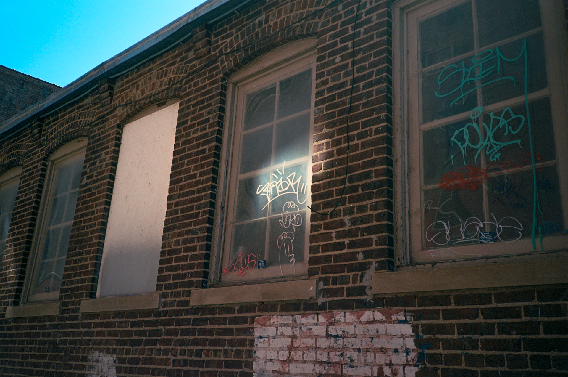 they'll never take the joy from us - Image 6