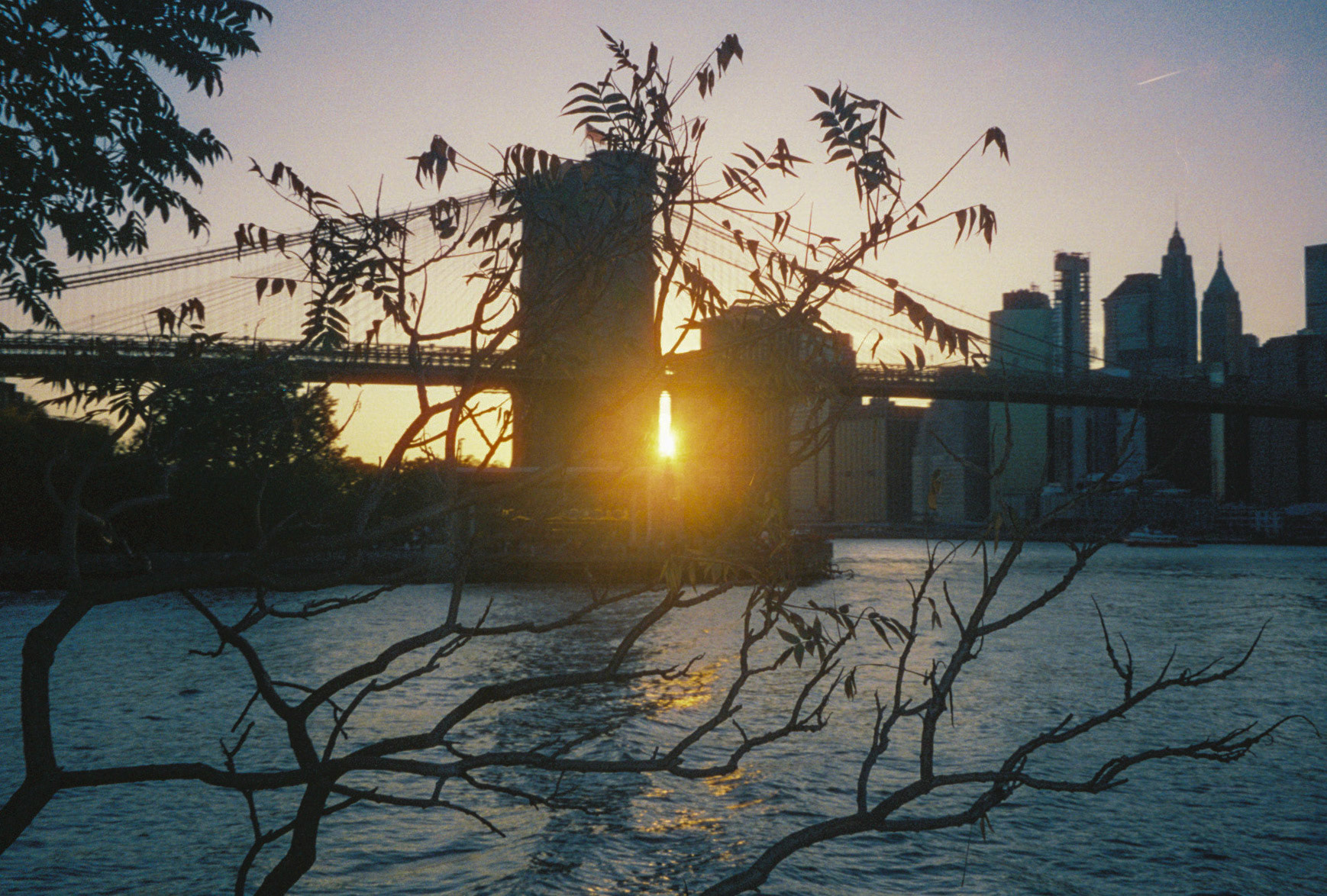 hands in the air if you made it - Image 24