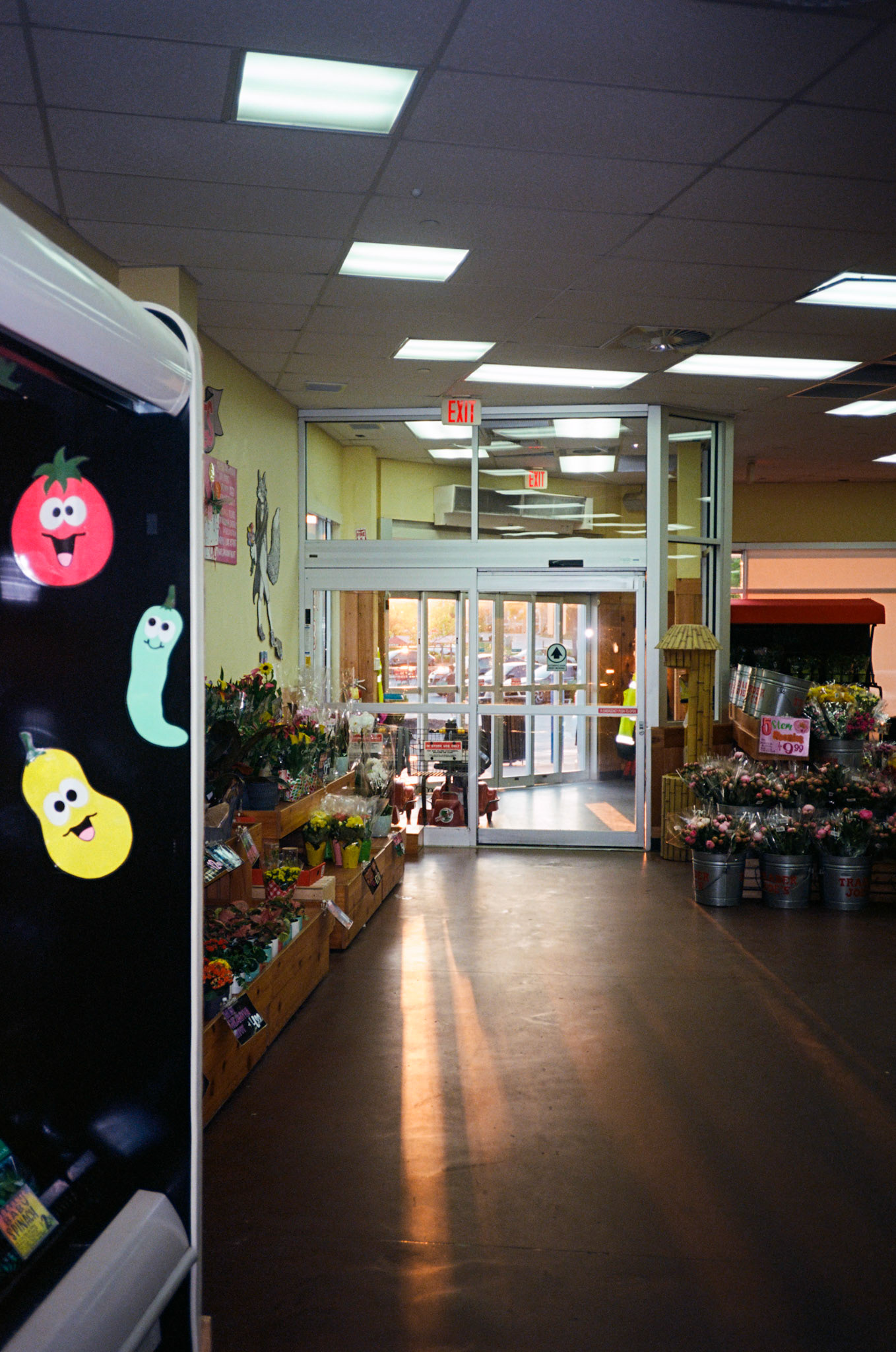 run to the sun - Image 49