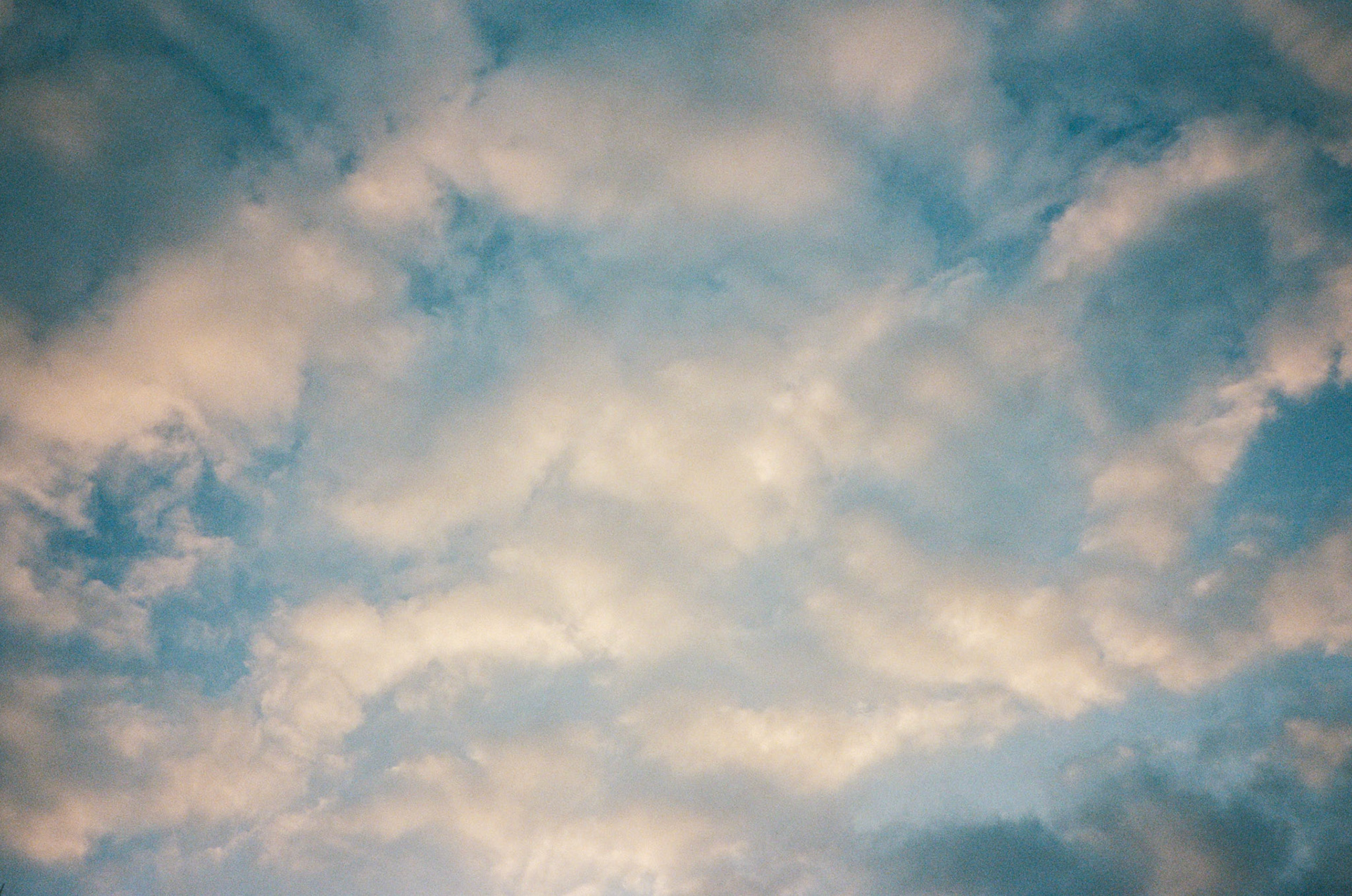 i guess we just go get 'em - Image 44