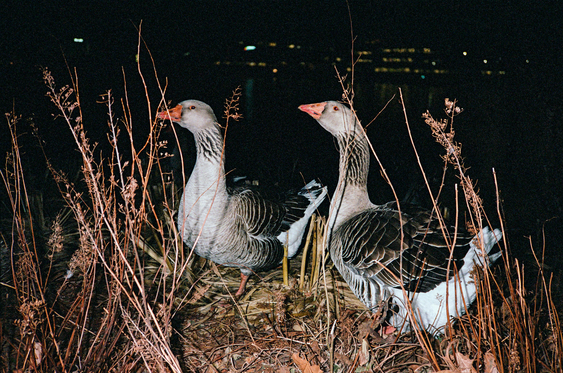 for me, don't change - Image 13