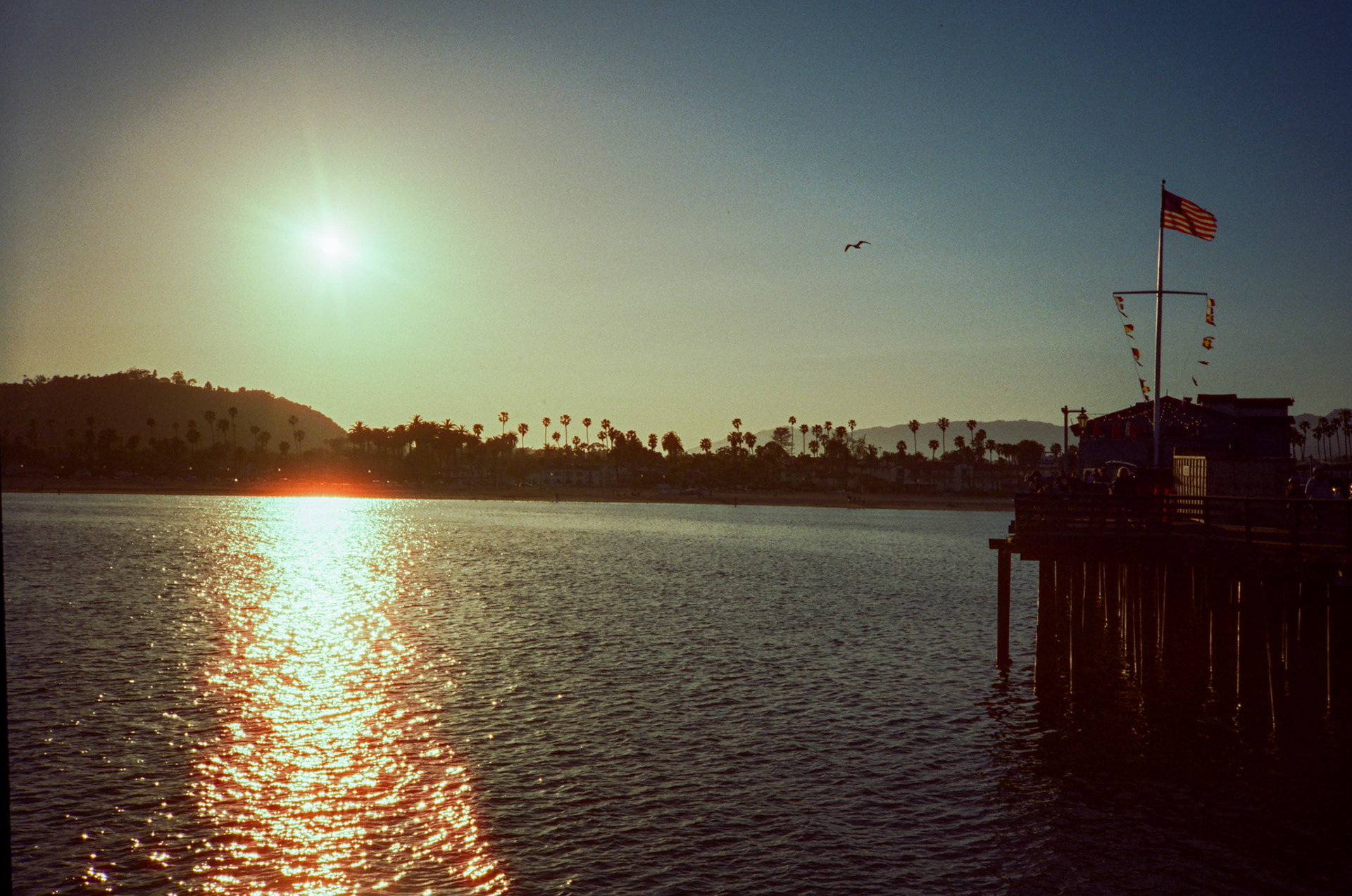 i guess we just go get 'em - Image 12