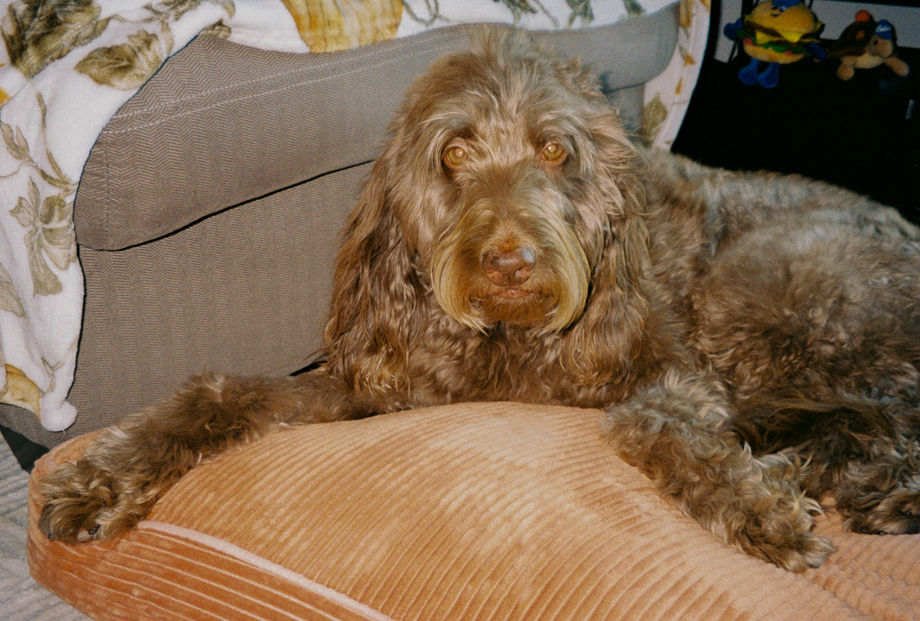 hands in the air if you made it - Image 43