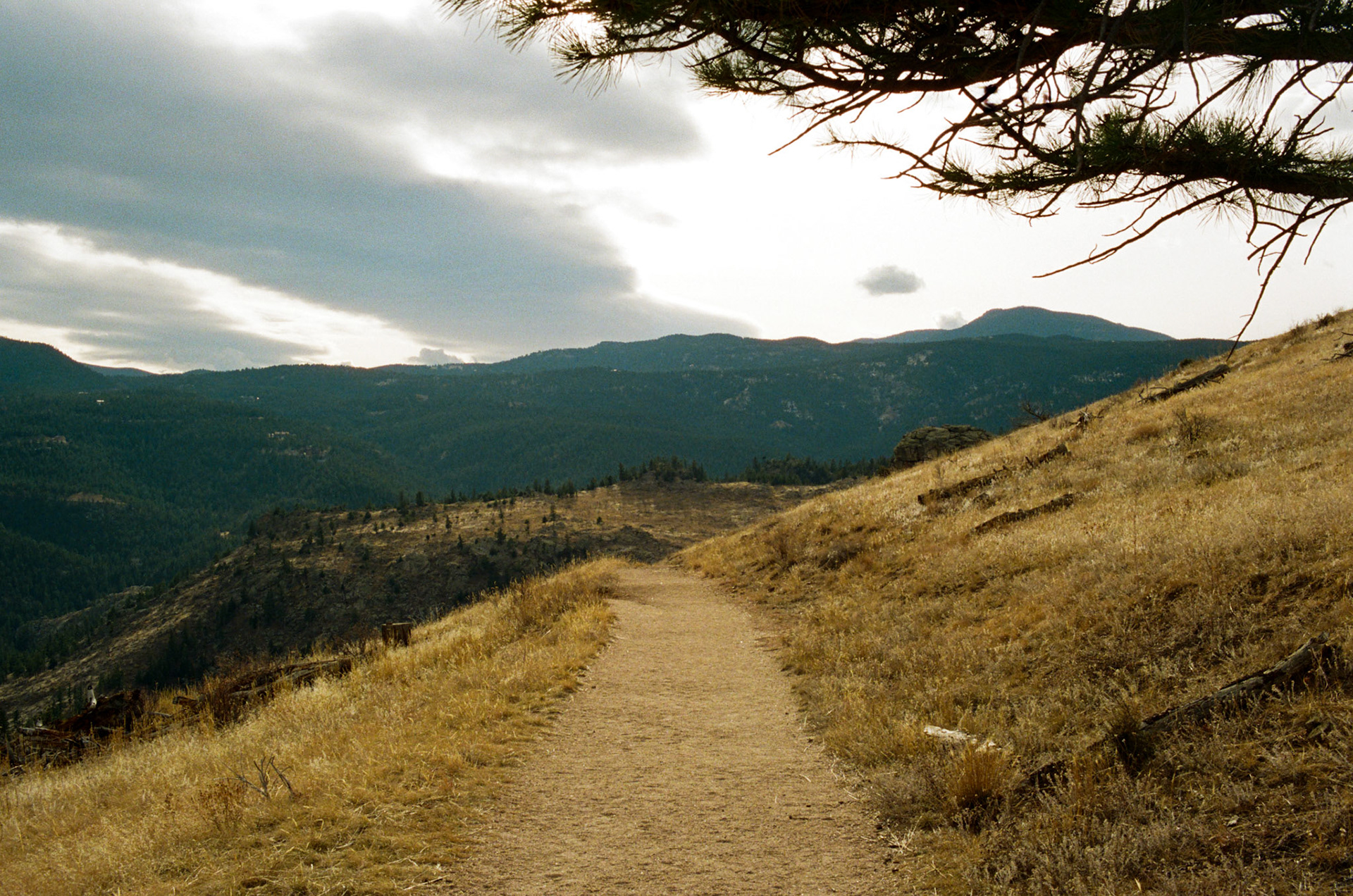 when the money goes, will the honey stay? - Image 72