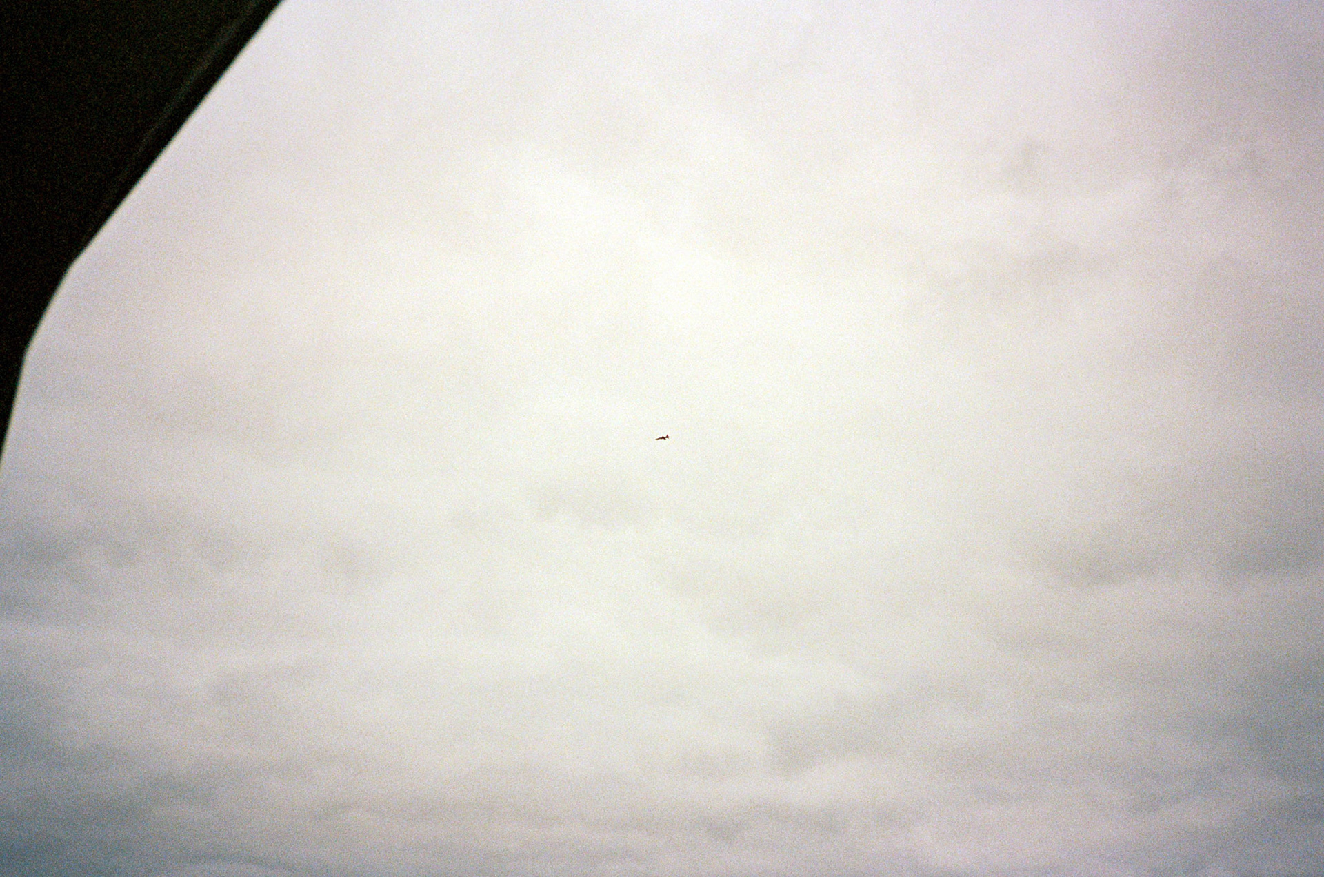 i guess we just go get 'em - Image 86