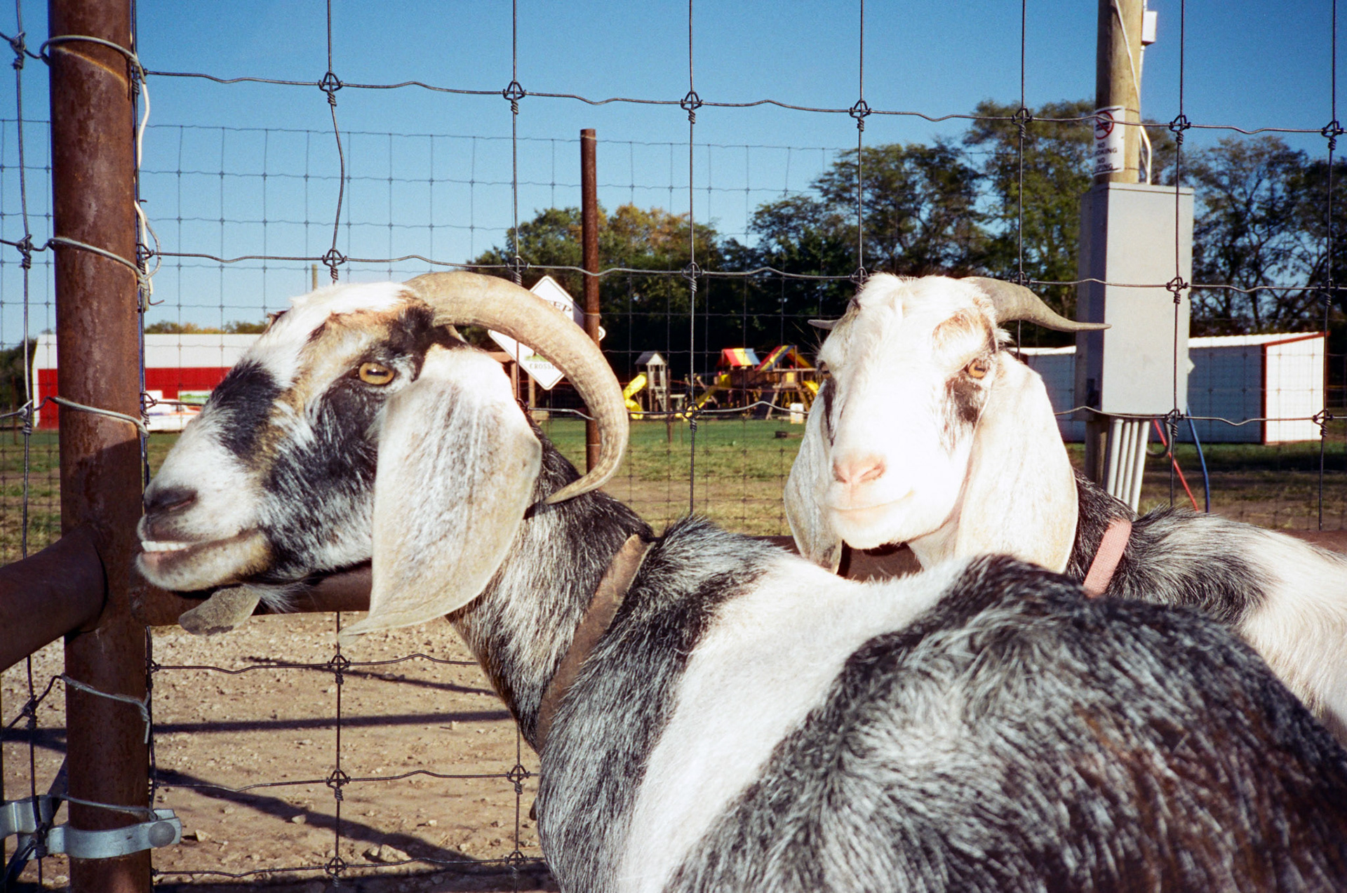 when the money goes, will the honey stay? - Image 4