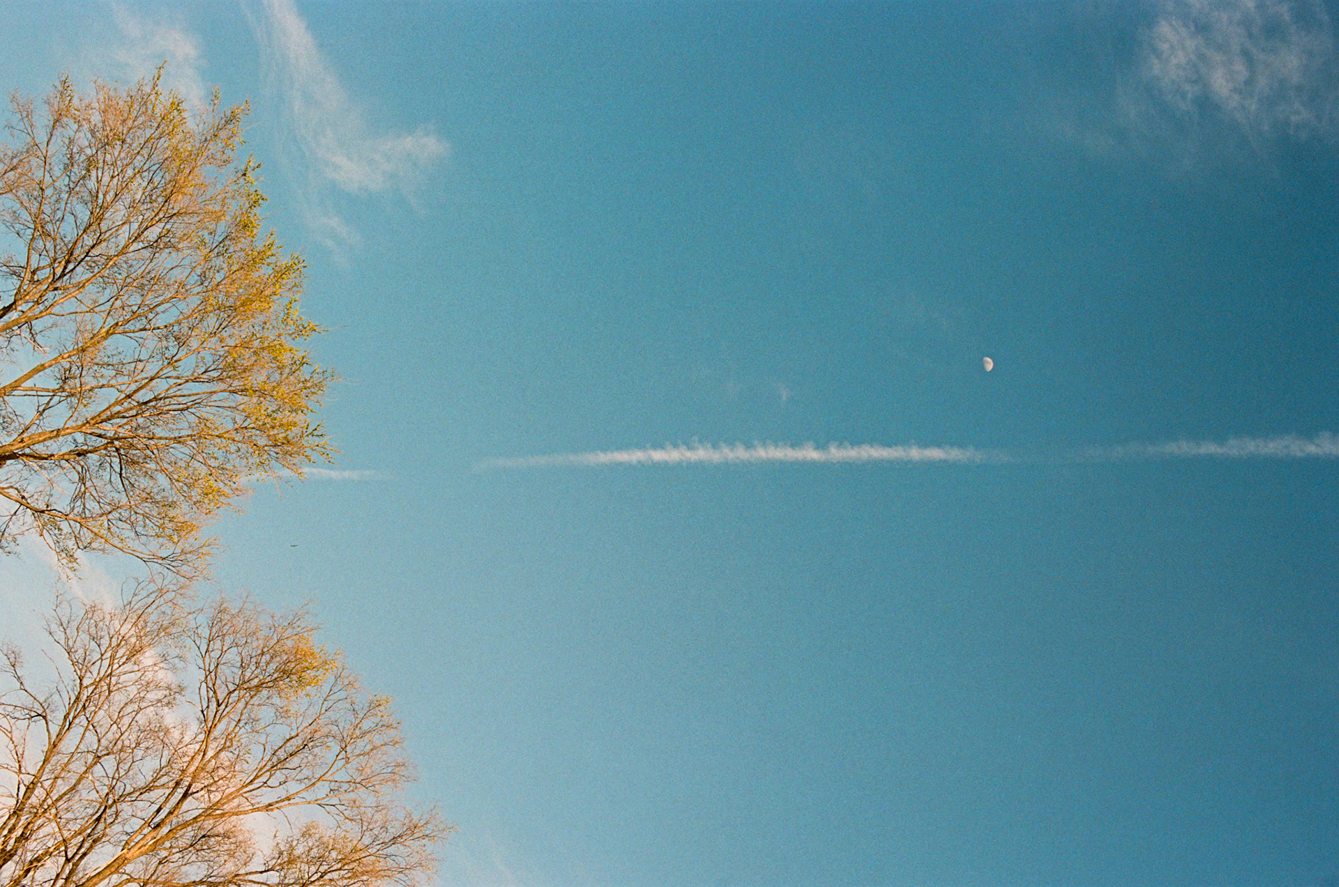 i guess we just go get 'em - Image 46