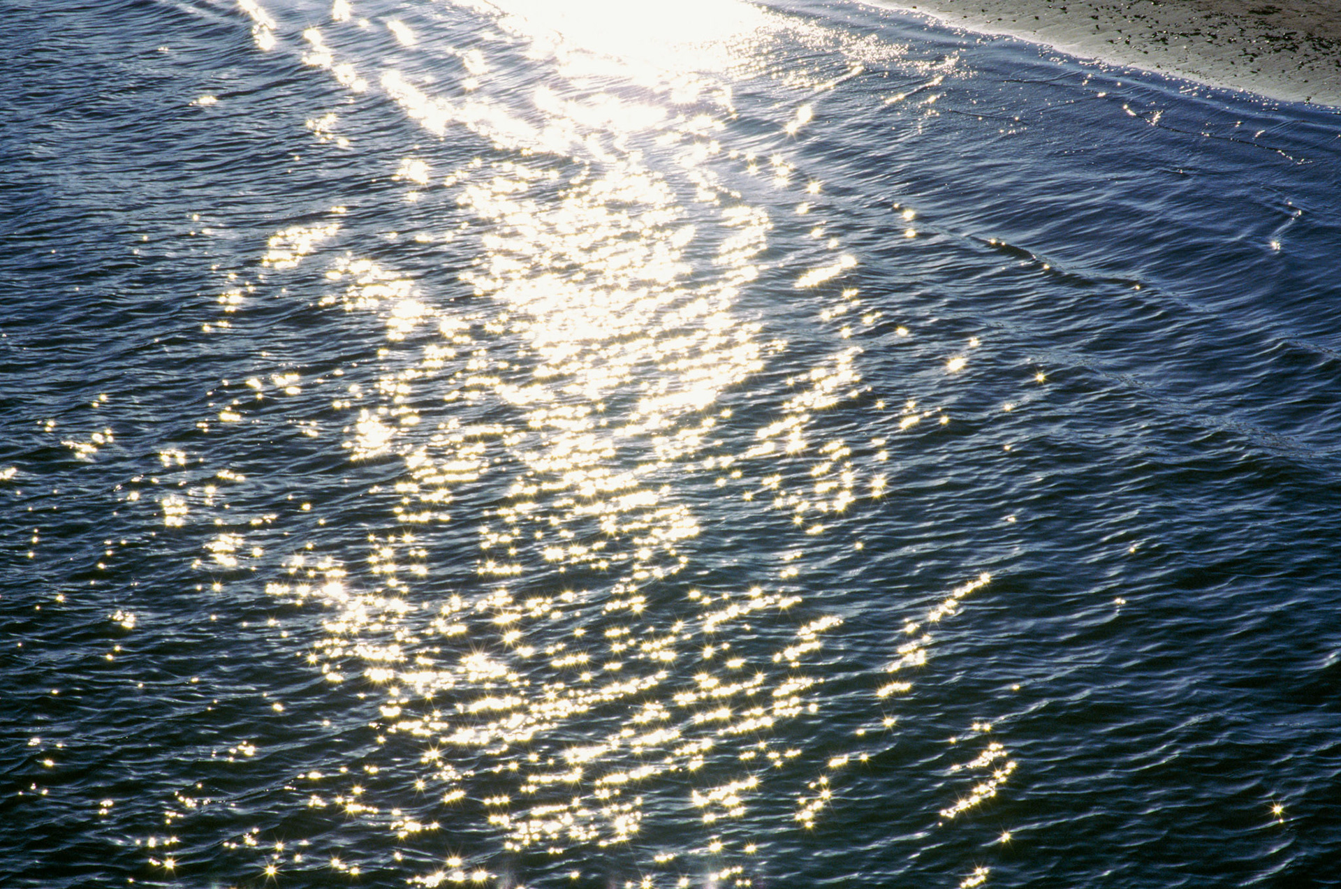 i guess we just go get 'em - Image 14