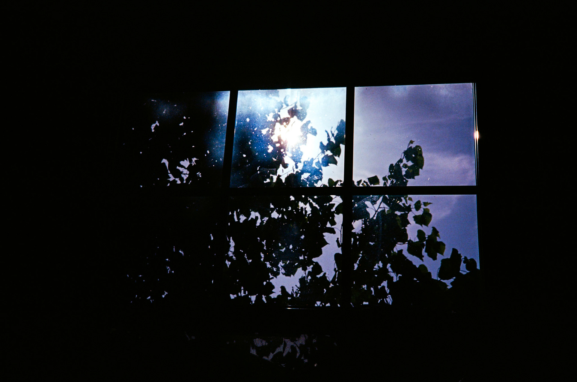 how fast can it go? - Image 22