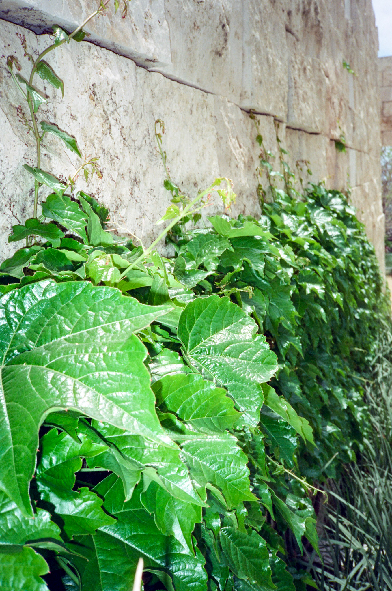 i guess we just go get 'em - Image 138