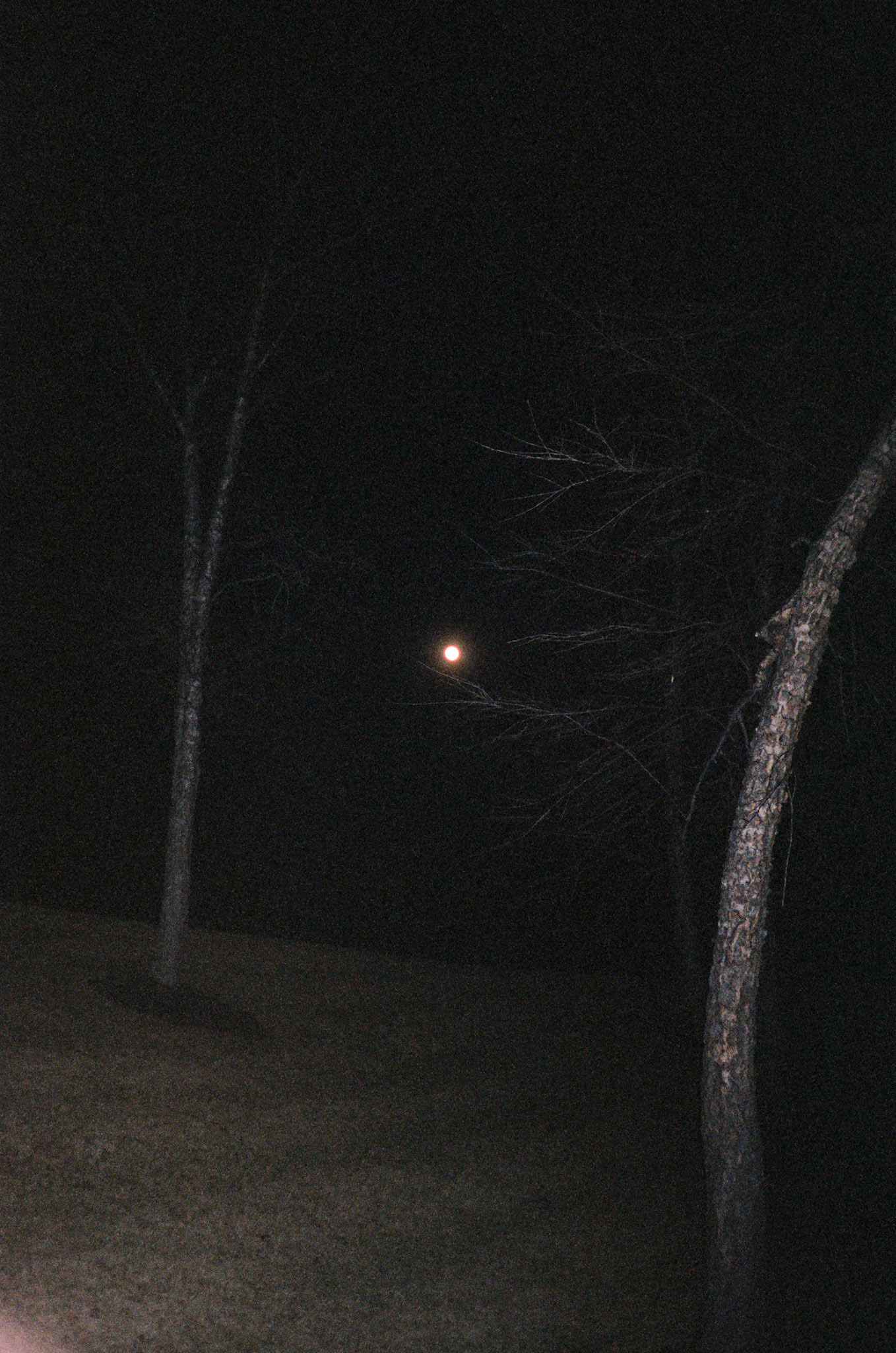 for me, don't change - Image 31