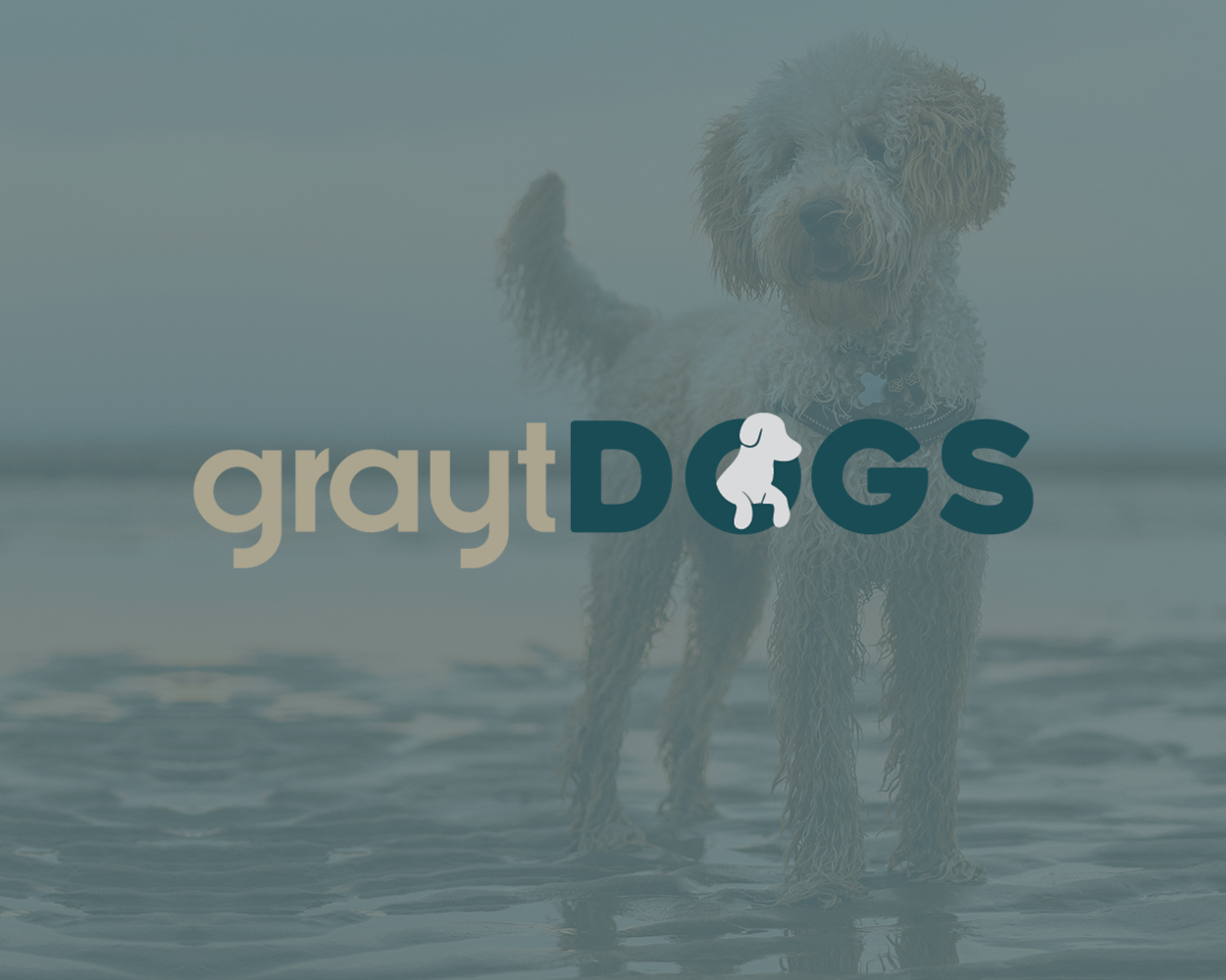 Branding - Grayt Dogs