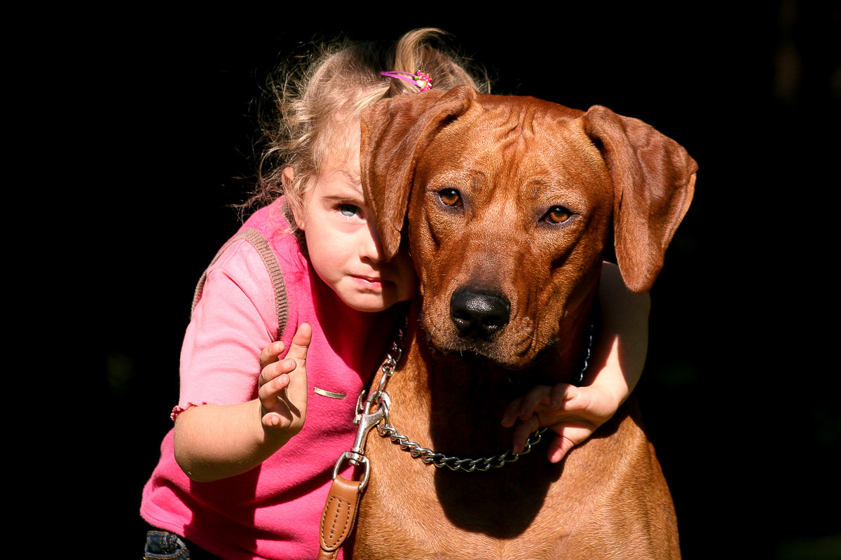 Rhodesian Ridgeback