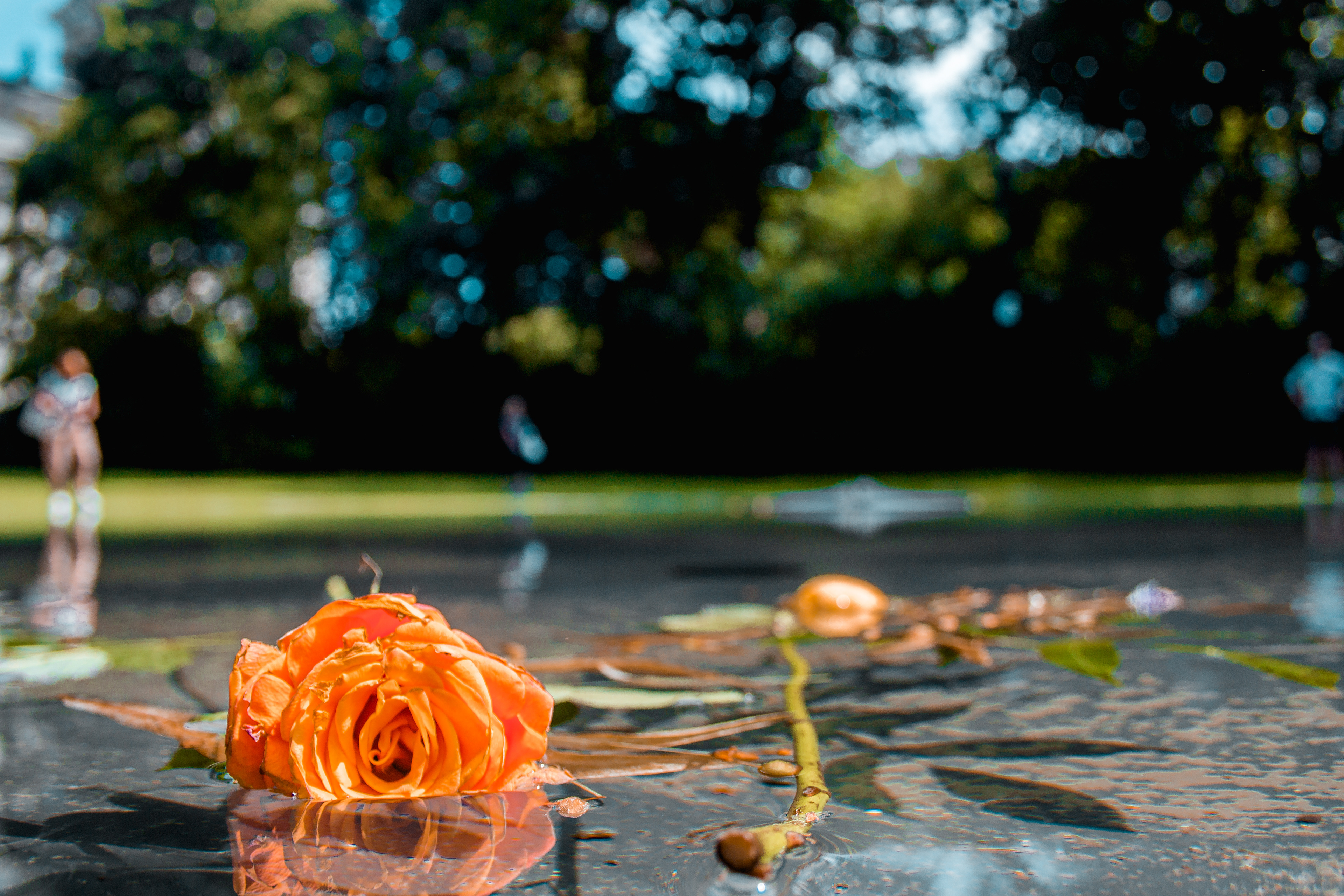 Memorial to the Sinti and Roma of Europe