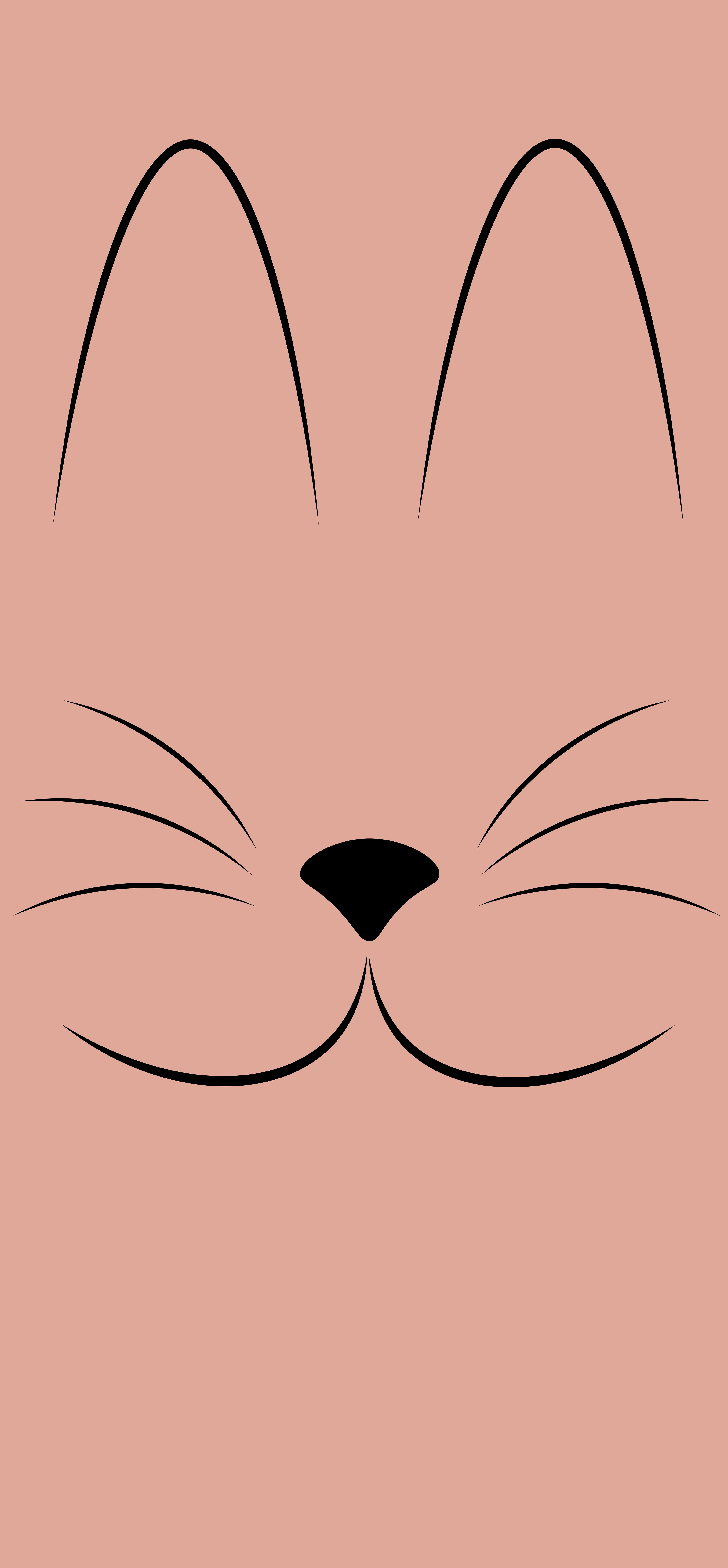 cat face
