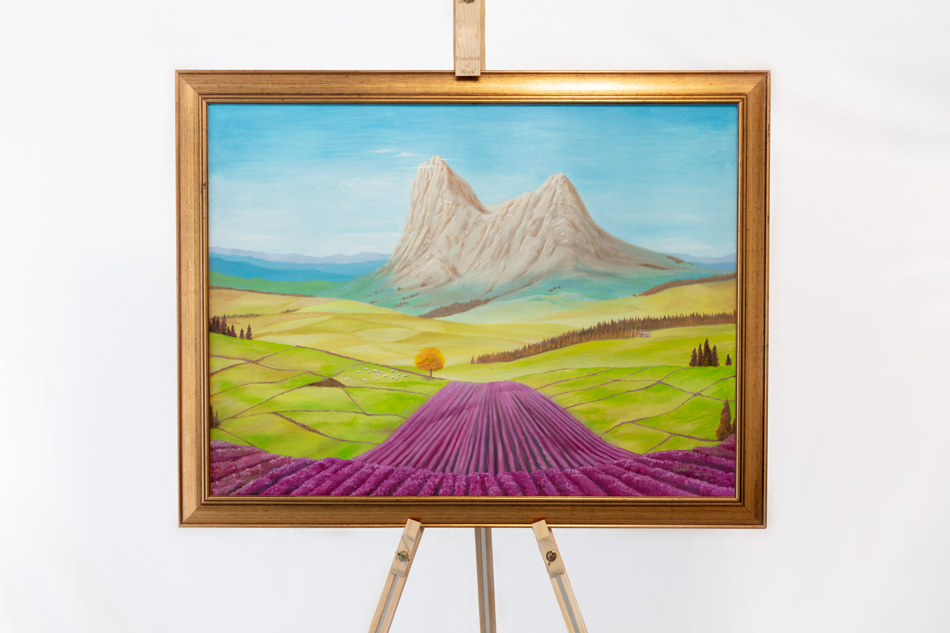 Purple Lavender