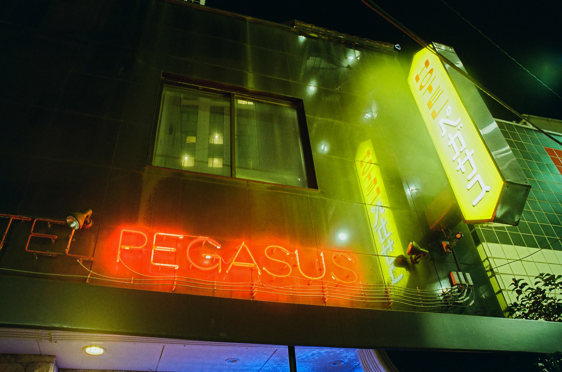 metered for whole image