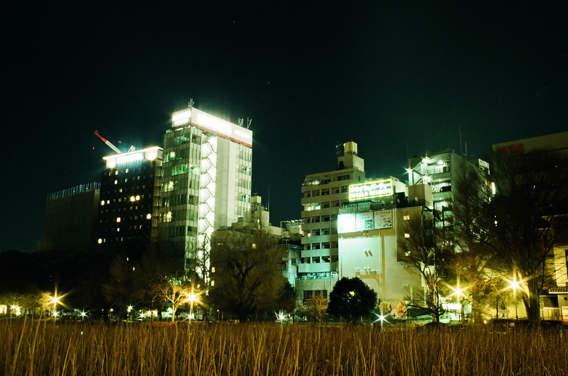 vs metering for the whole image