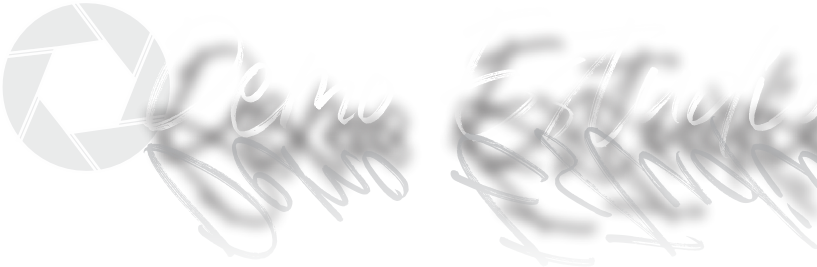 Demo Estudio