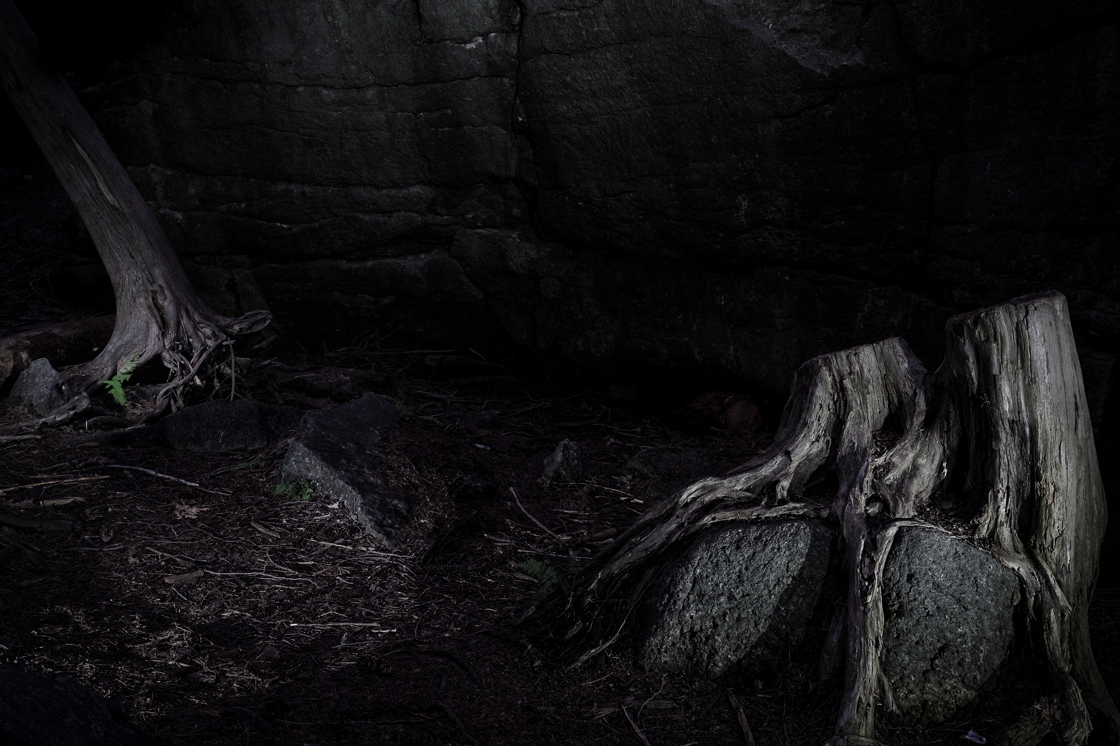 Spooky Hollows