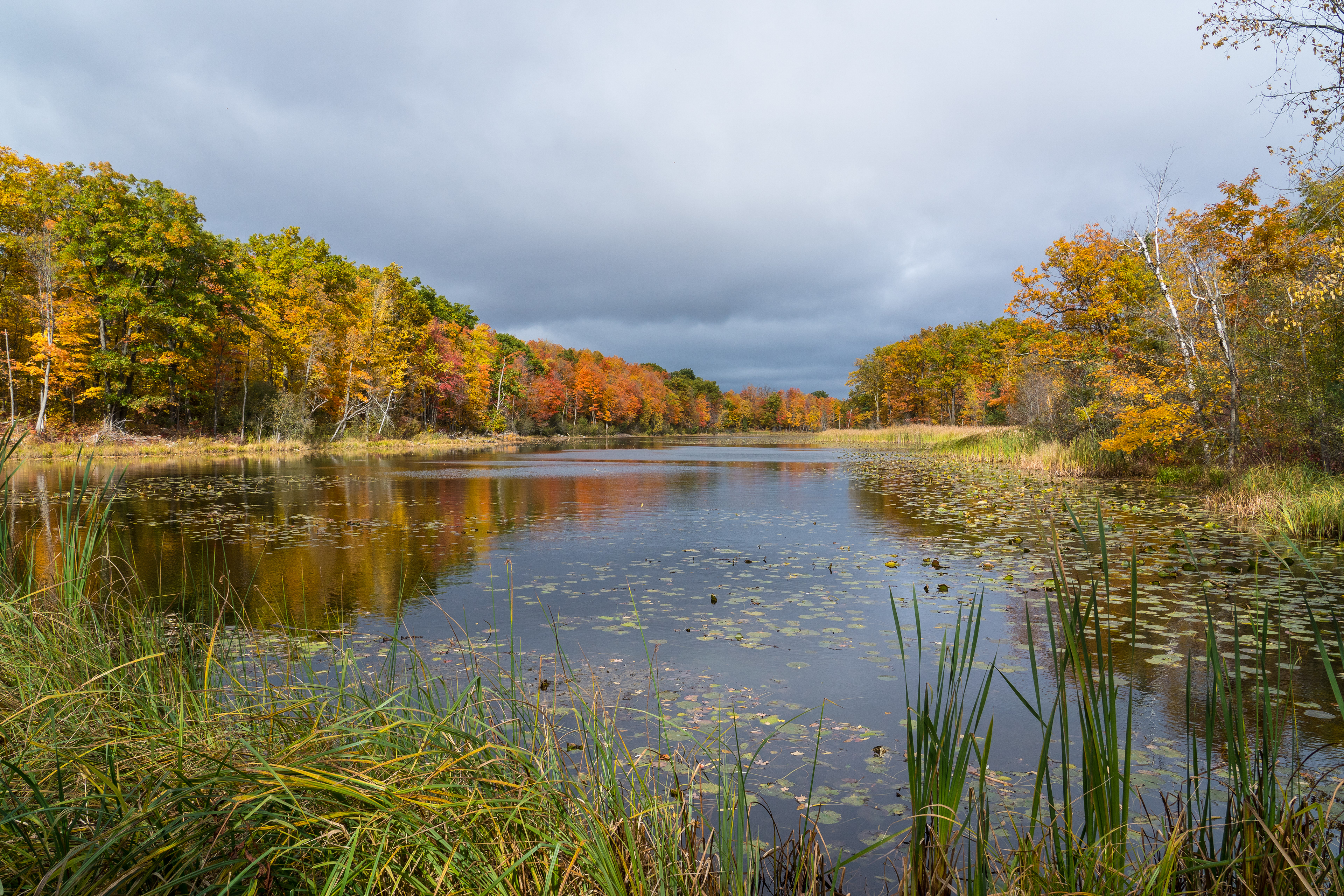 Wolf Lake