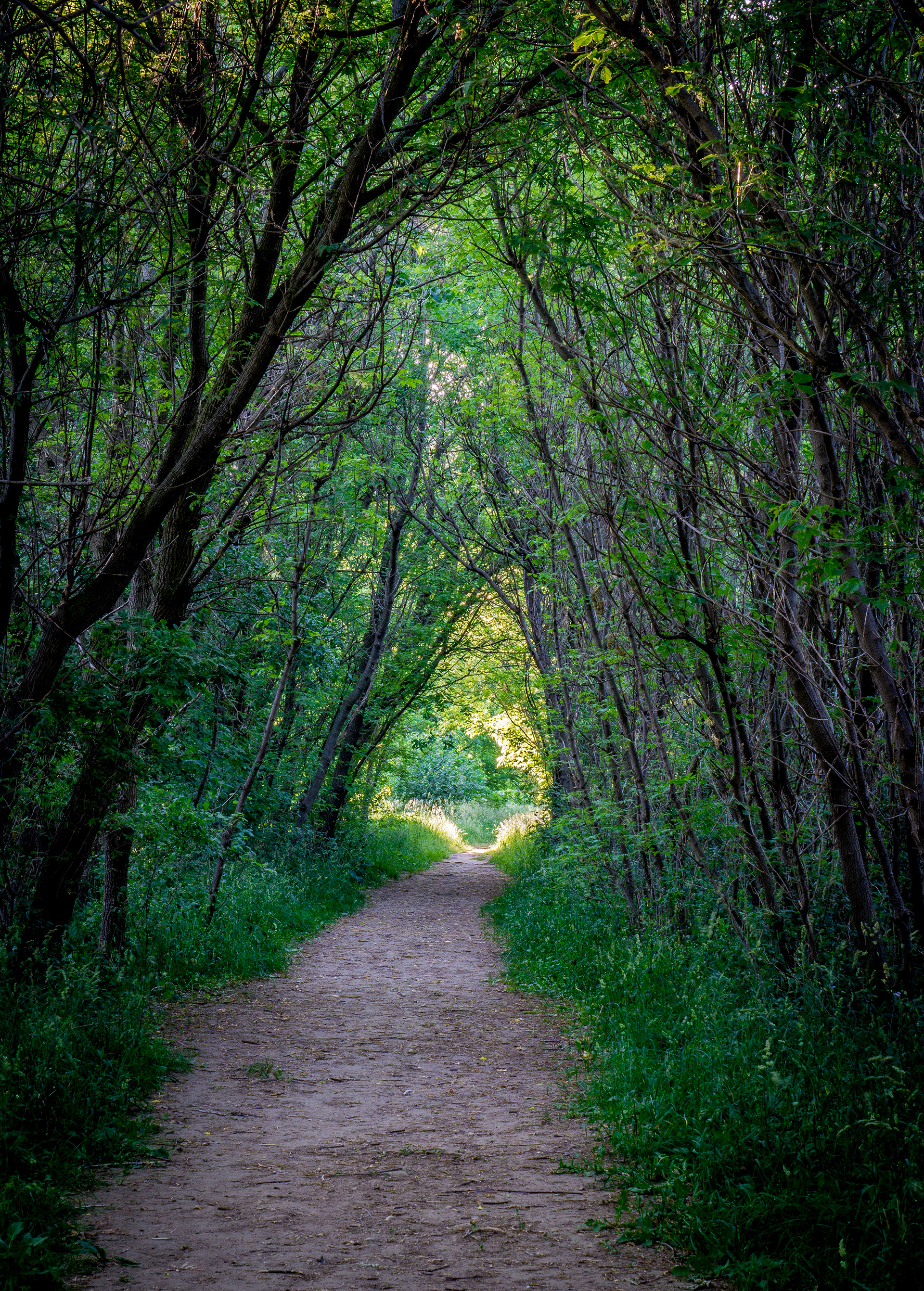 Light At The End Of The Tunnel