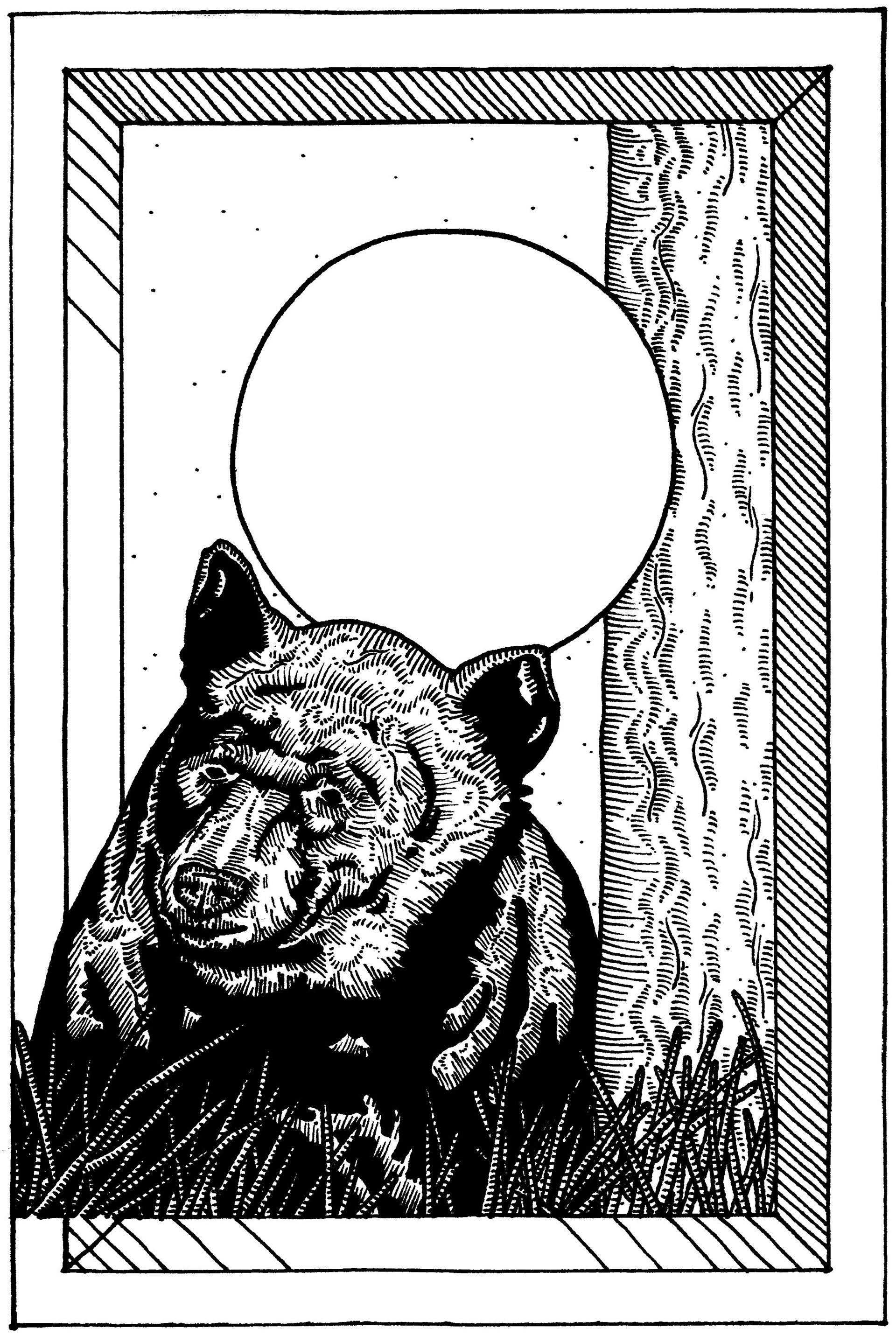 Custom Illustration: Black Bear