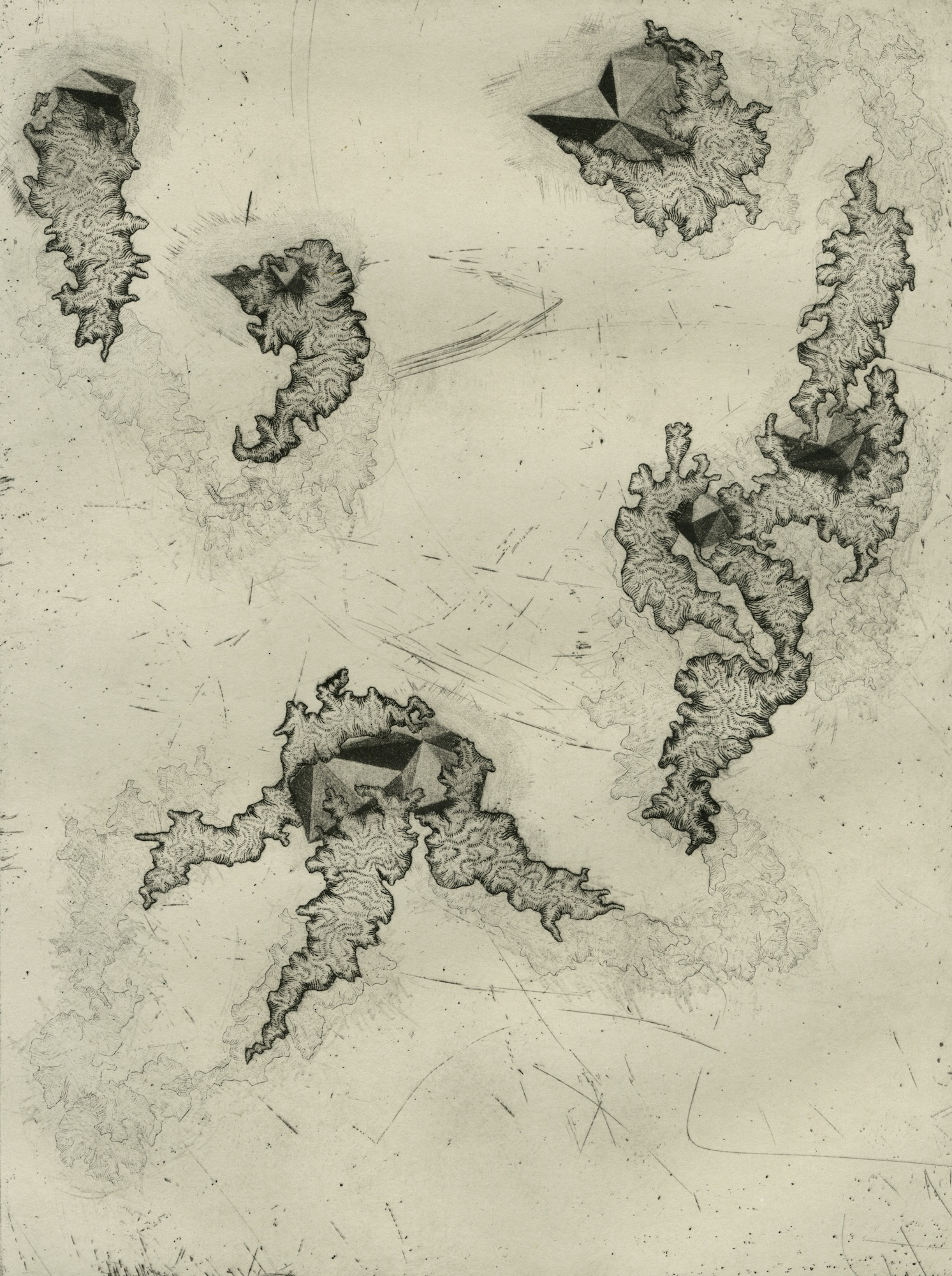 Microcosmos IV | Intaglio, 2017