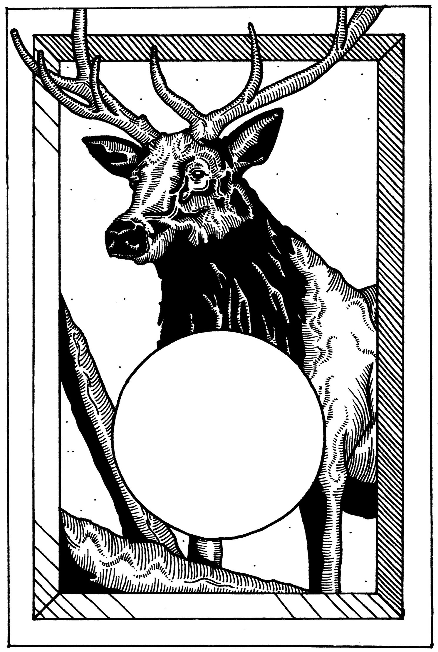 Custom Illustration: Elk