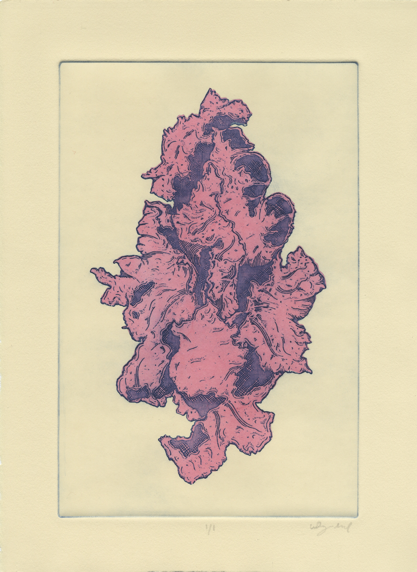 Untitled (Pink Lichen) | Intaglio, 2017
