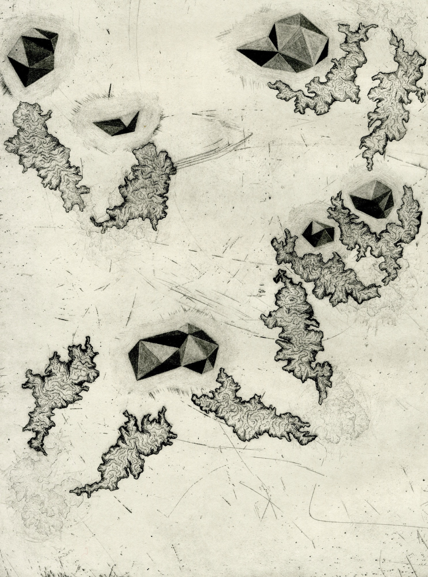 Microcosmos III | Intaglio, 2017