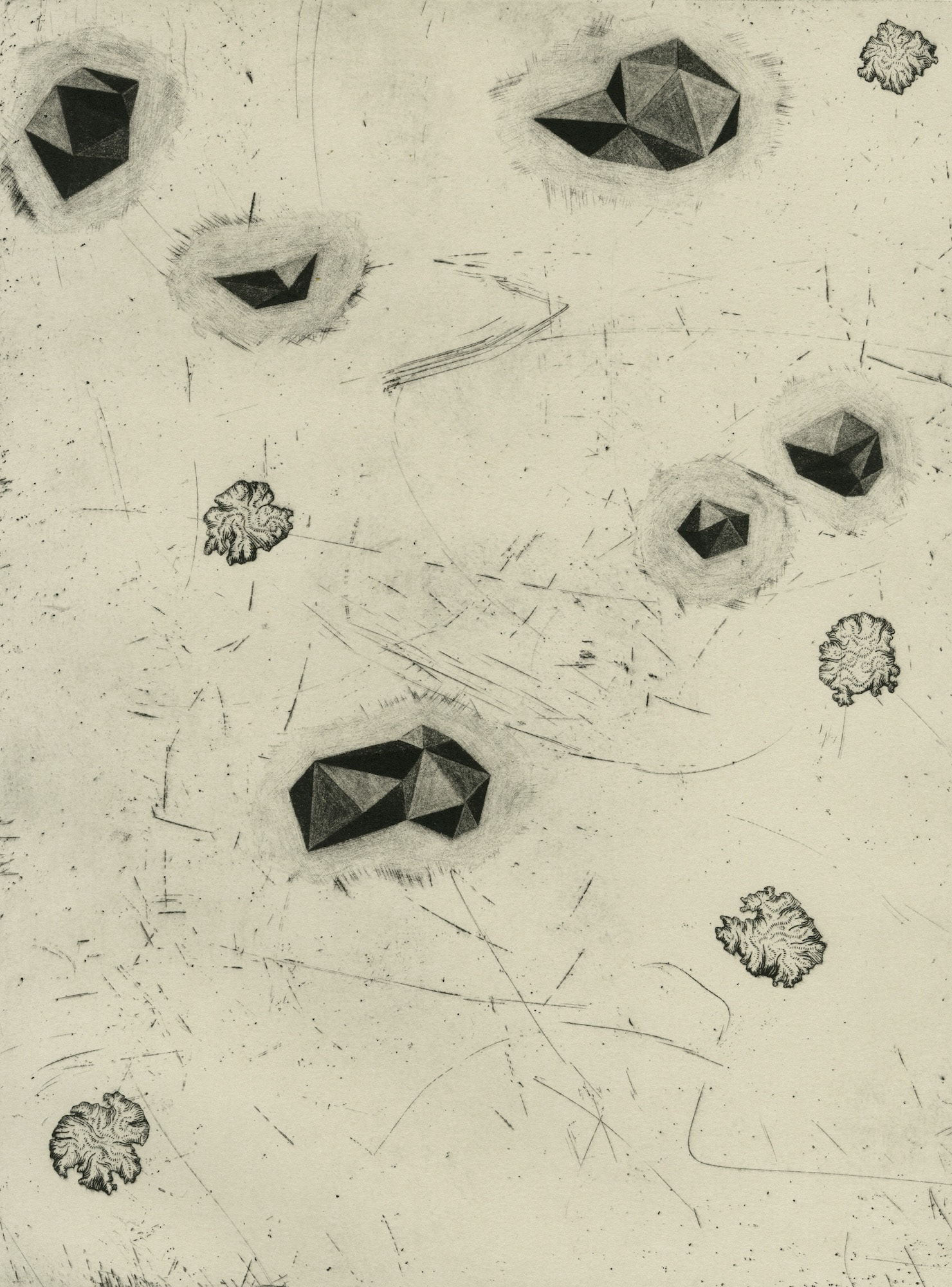 Microcosmos I | Intaglio, 2017