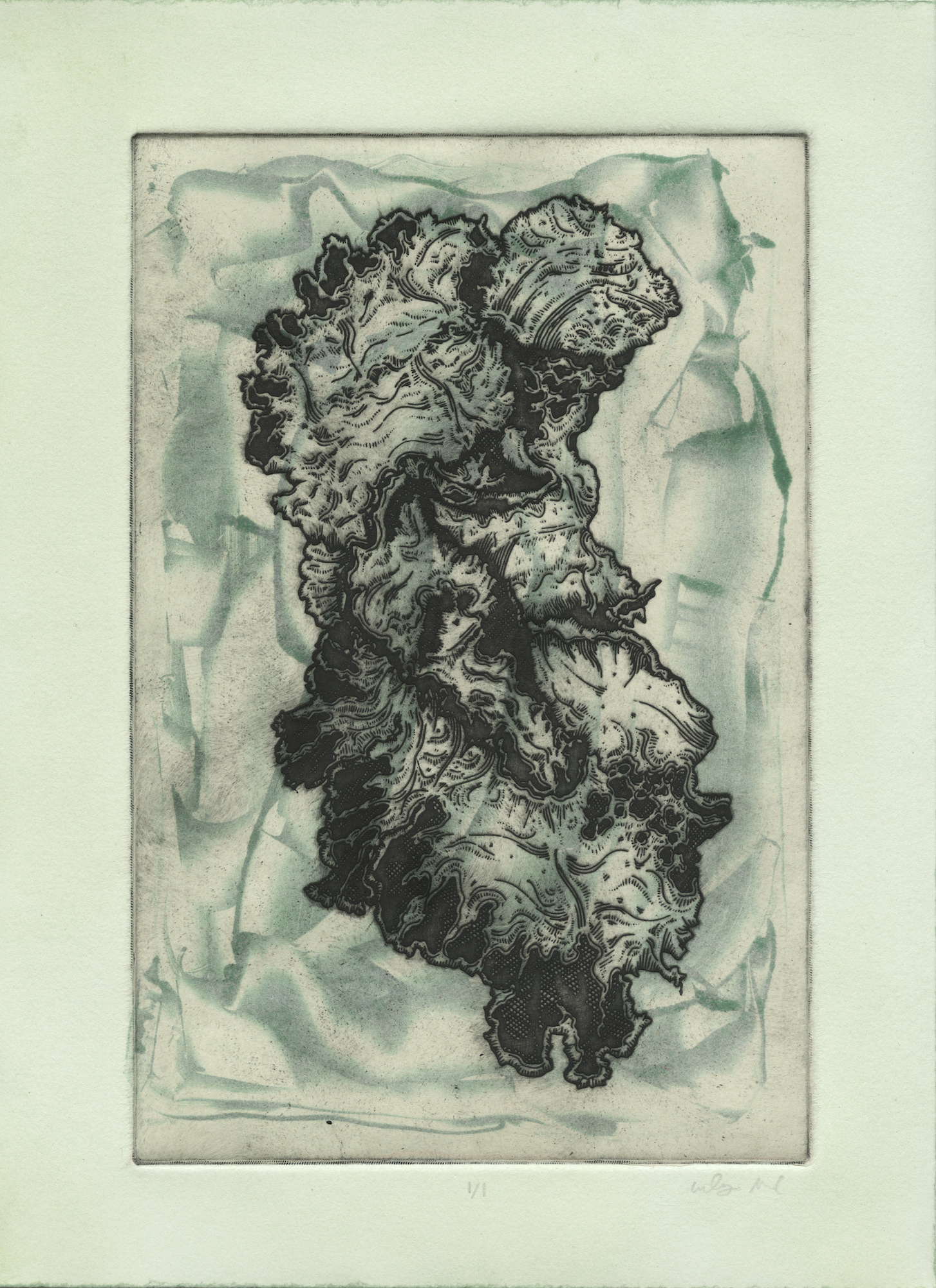 Untitled (Green Lichen) | Intaglio, 2017