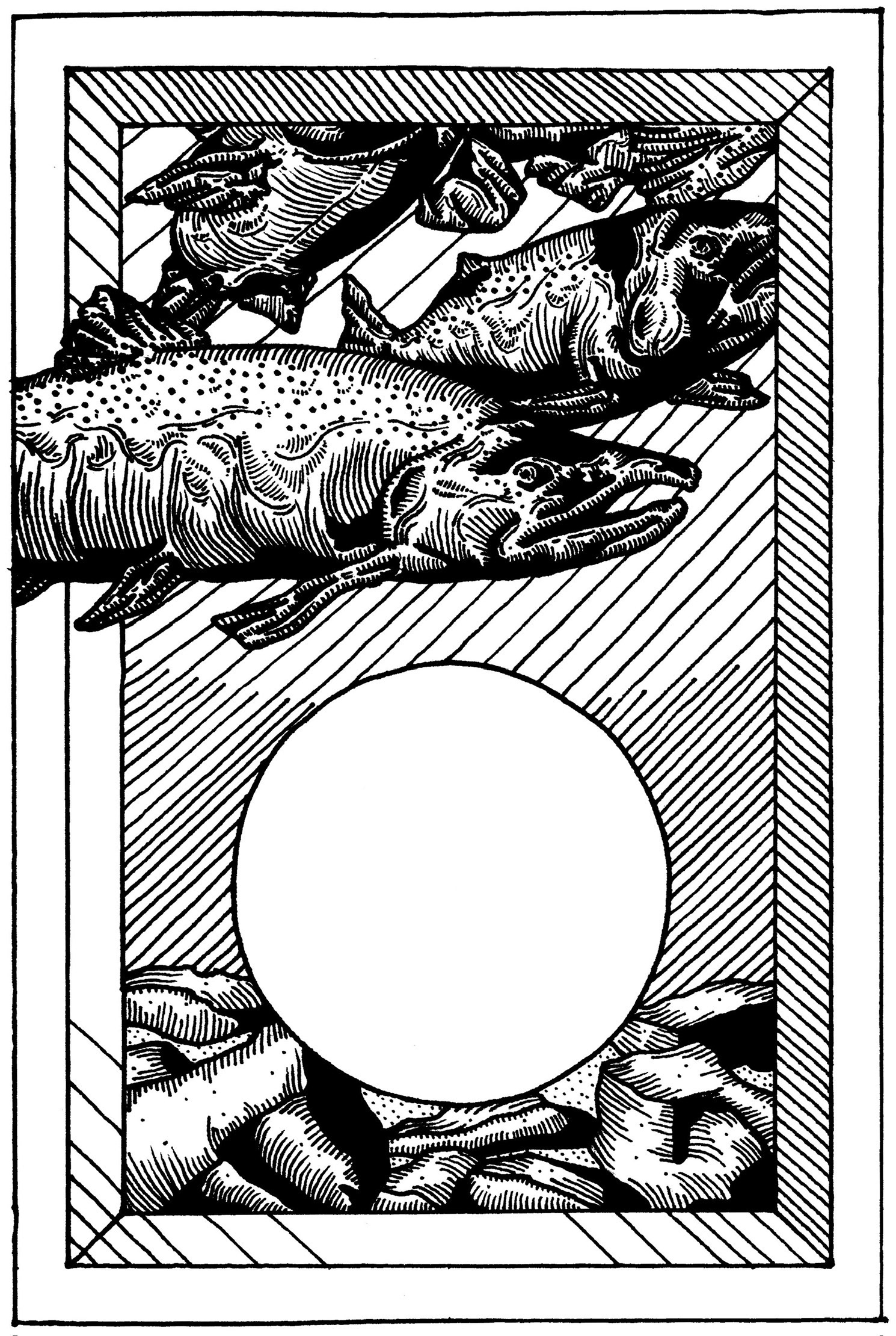 Custom Illustration: Salmon