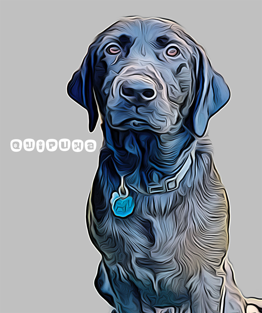 Q