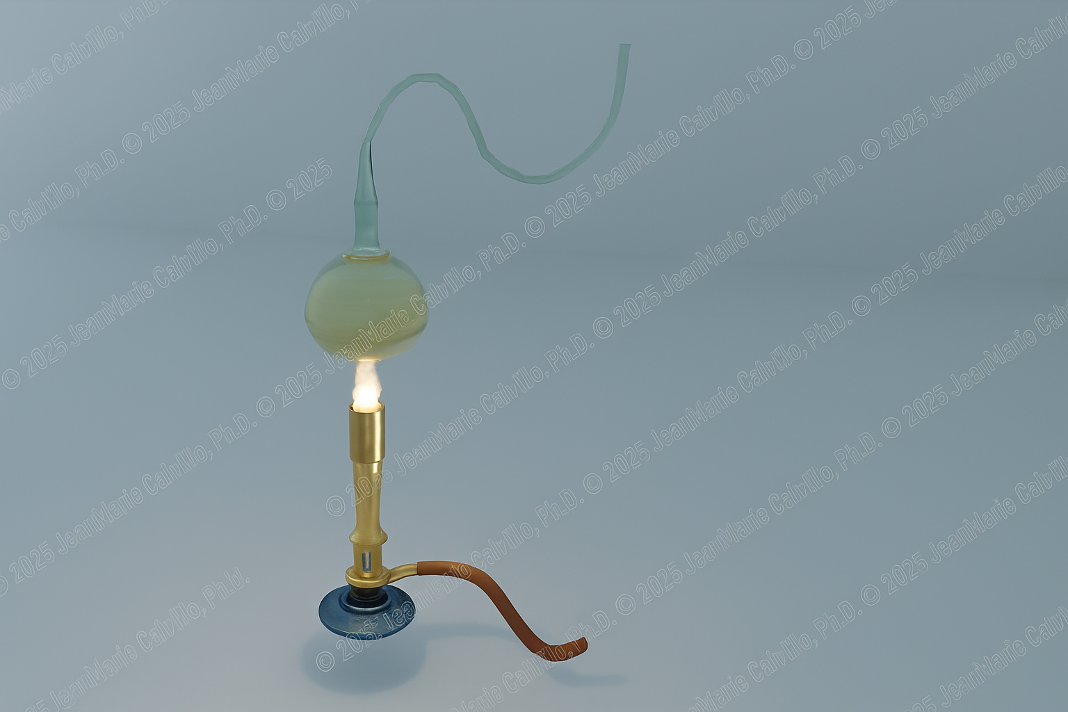 Swan Neck Flask Experiment - Part B