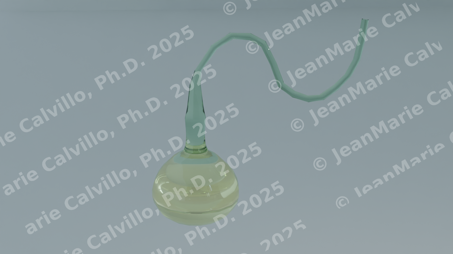 Swan Neck Flask Experiment - Part C