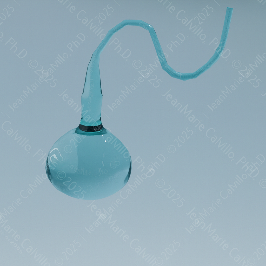 Swan Neck Flask - Blue Show Case