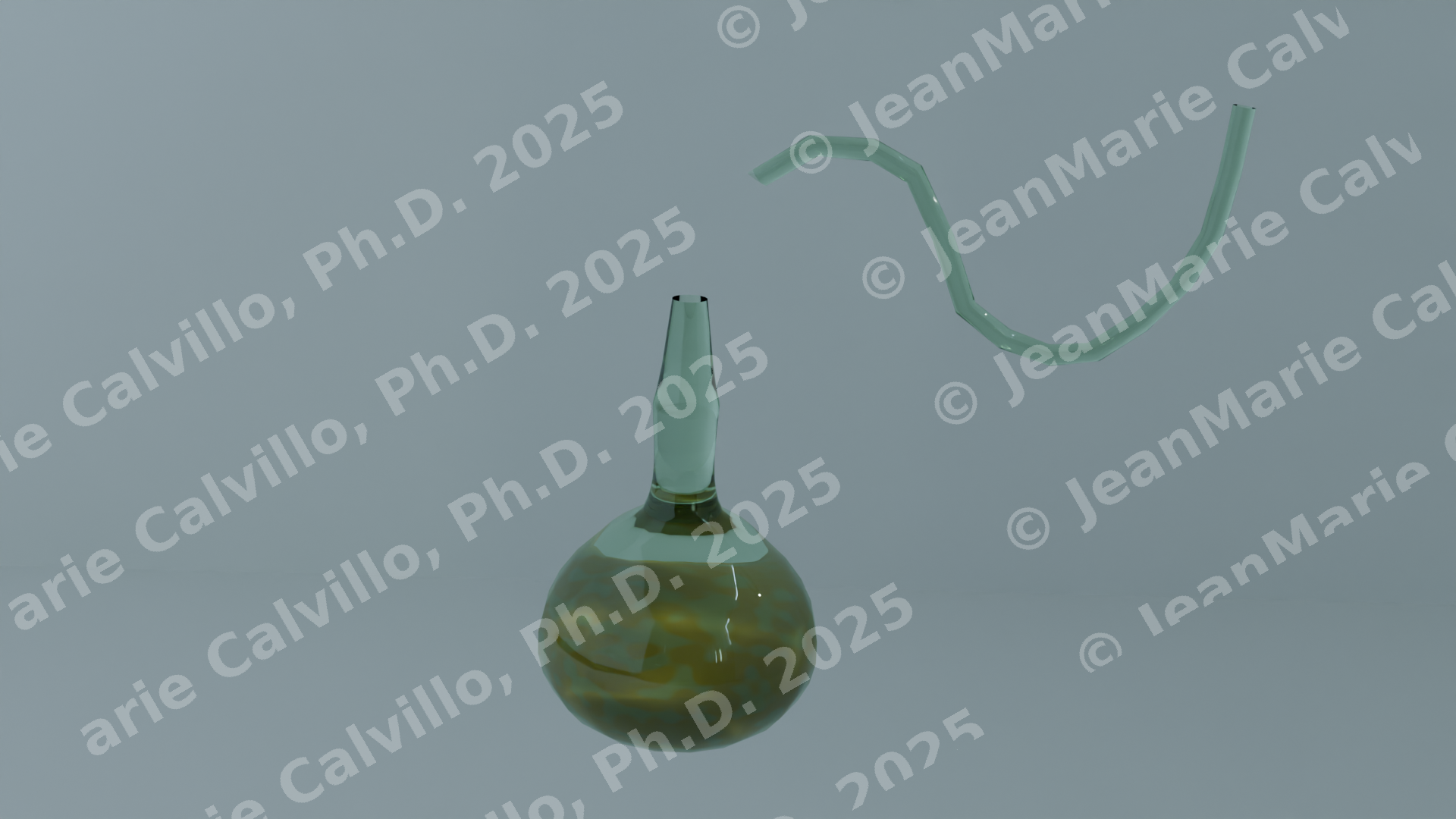 Swan Neck Flask Experiment - Part F